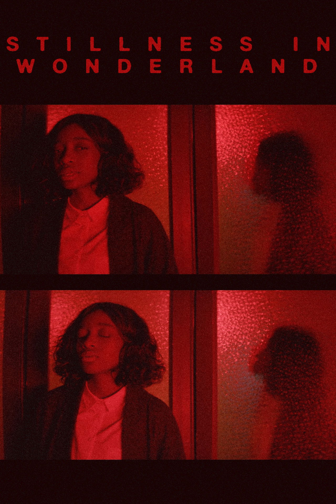 STILLNESS IN WONDERLAND: THE FILM Backdrop