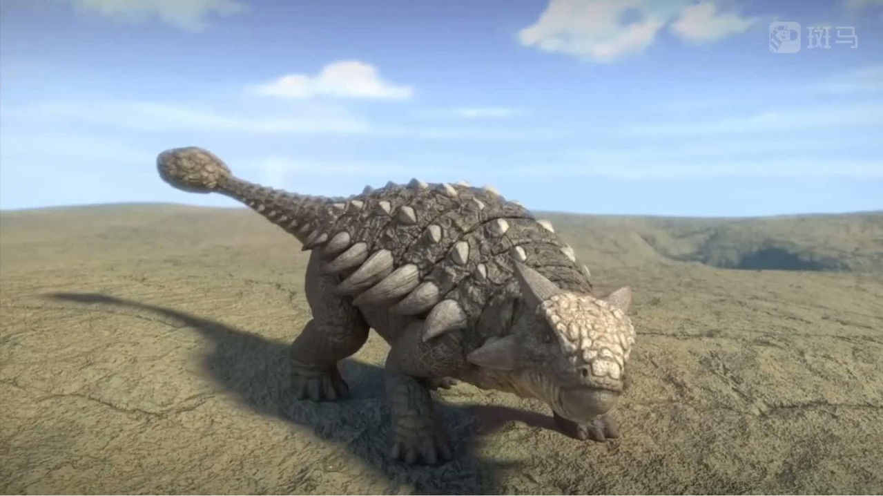 斑马百科 — Épisode 9