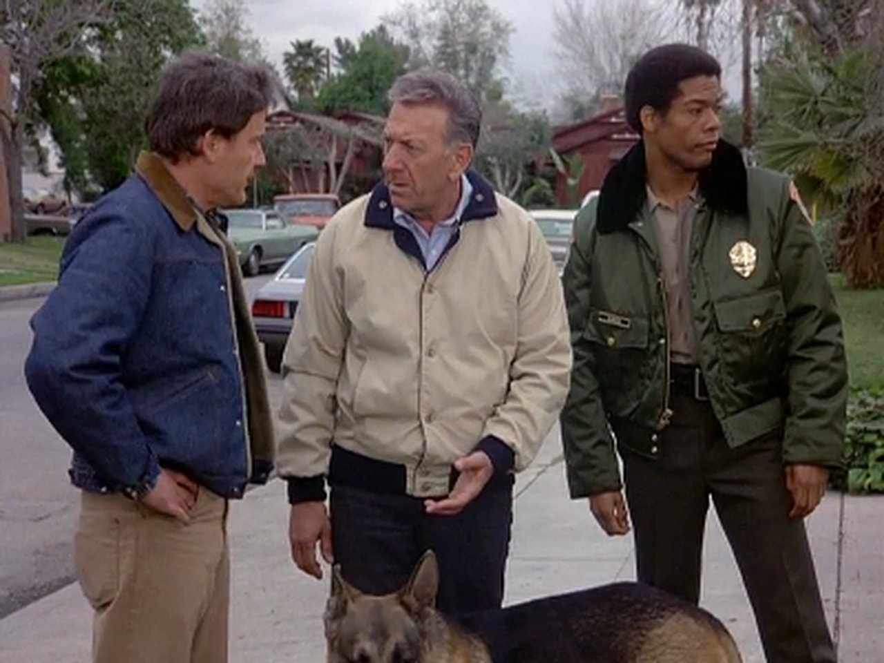 Quincy, M.E. - Season 7 Episode 23 : Deadly Protection