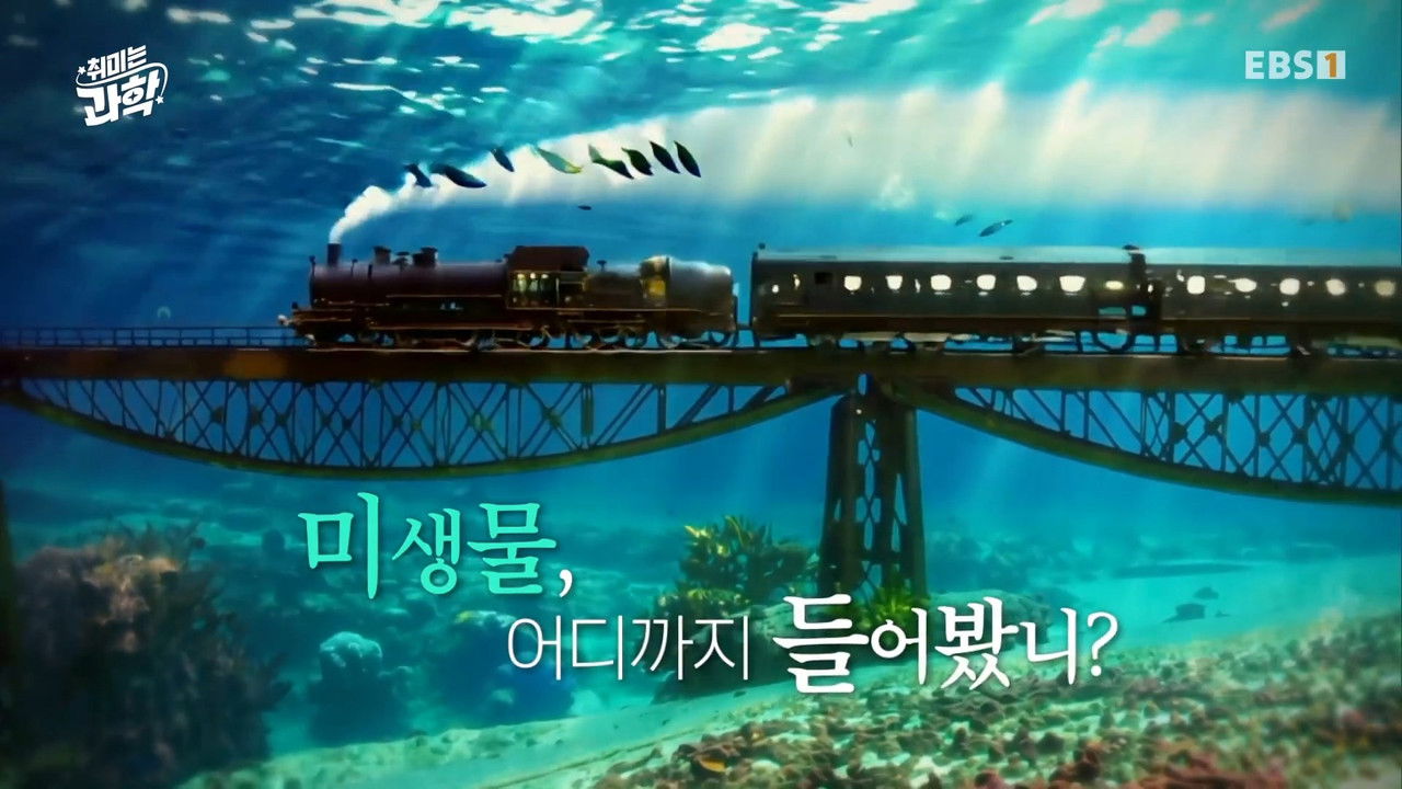 취미는 과학 — Épisode 11