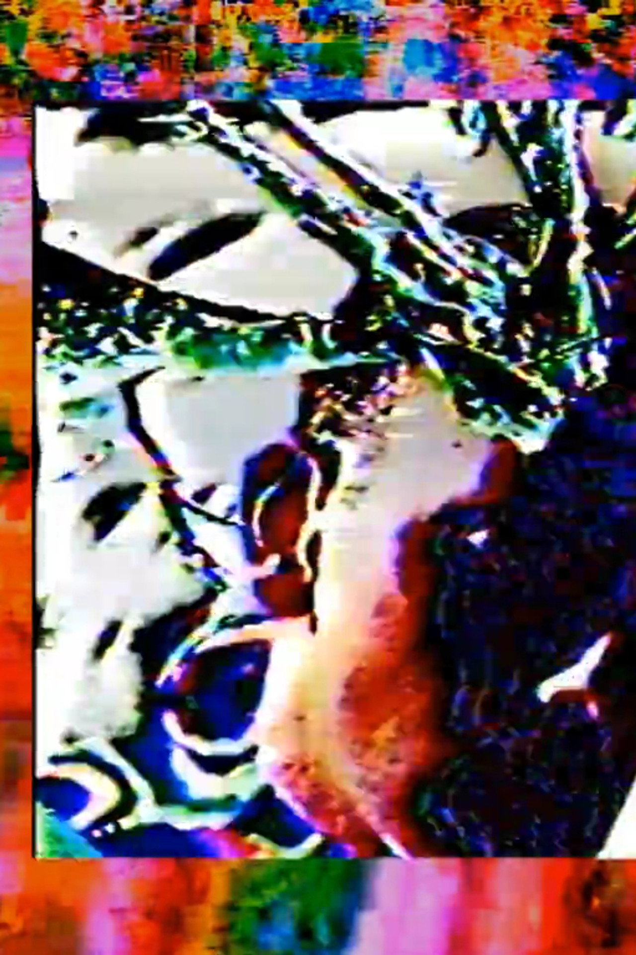 Flesh Intolerance: Final Transmission For Terrestrial Vertical Incarceration (A hyperstition) filmaffisch