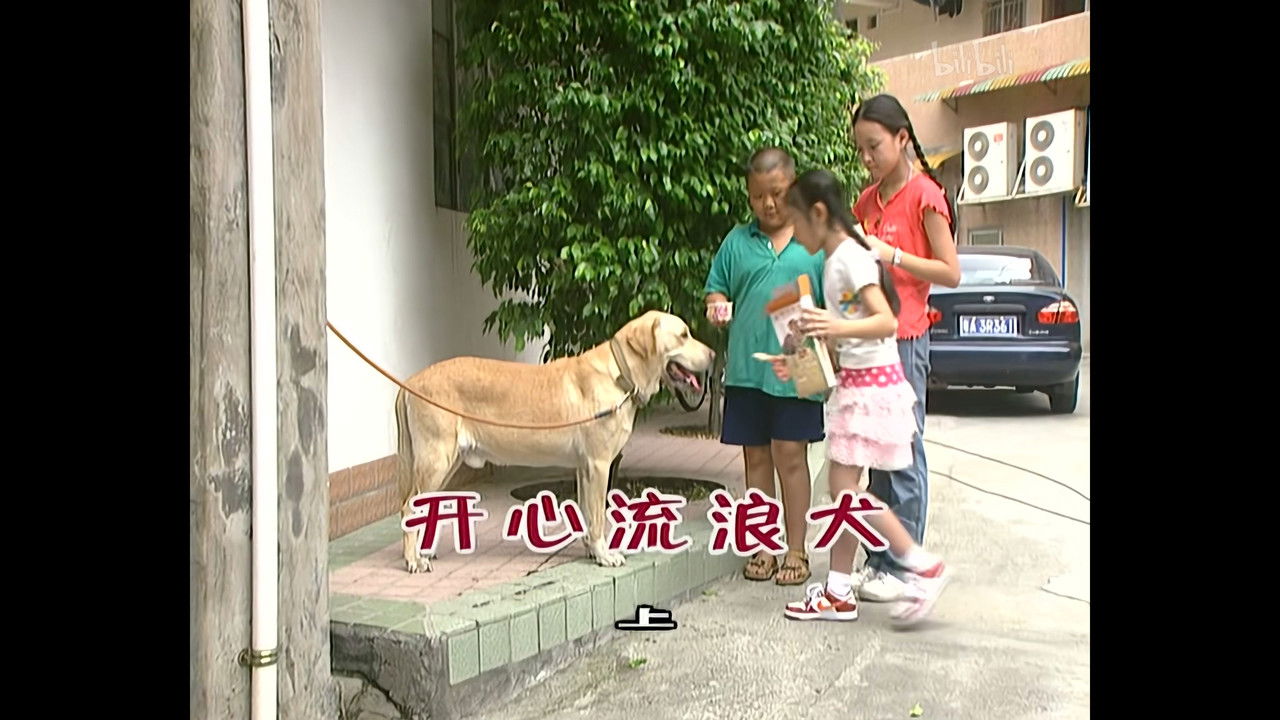 外来媳妇本地郎 — Épisode 727