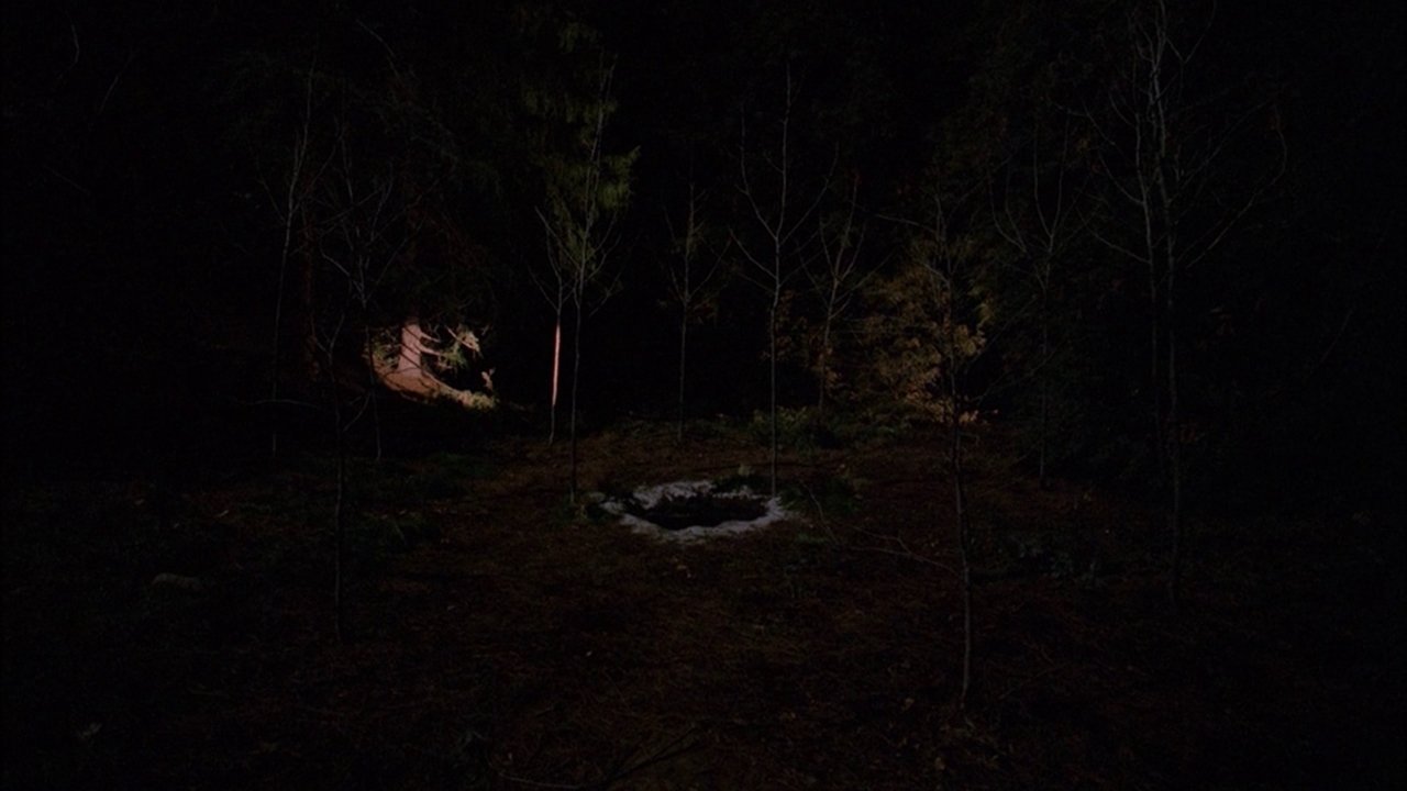 The Path to the Black Lodge