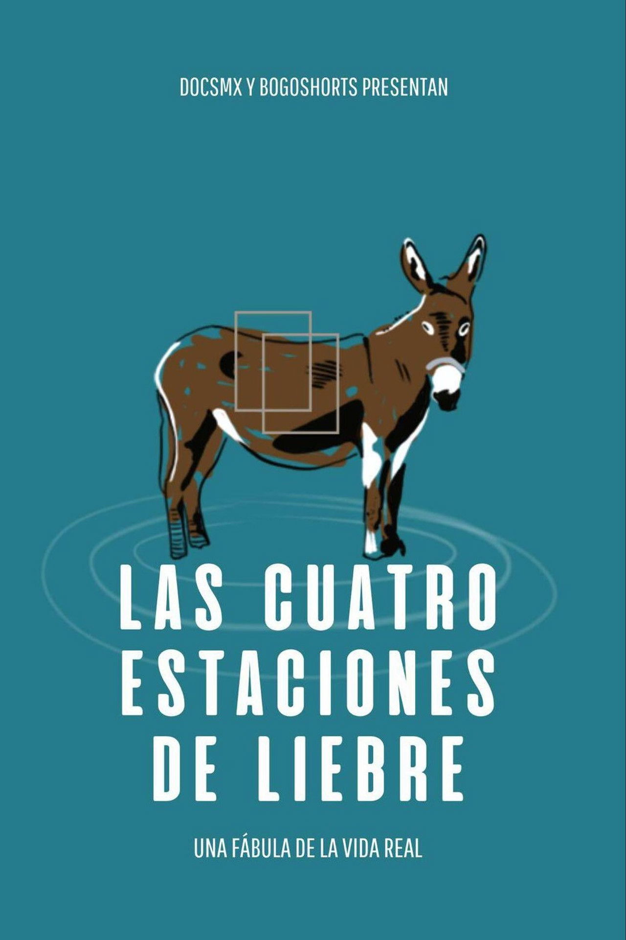 Las Cuatro Estaciones de Liebre poster