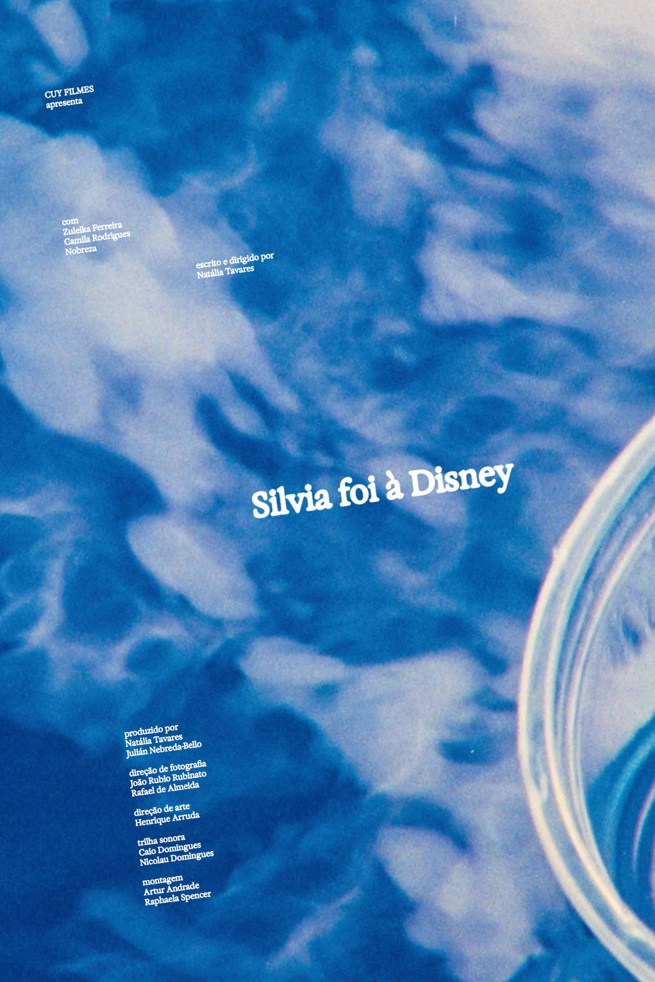 Silvia Foi à Disney poster