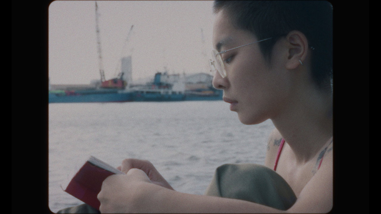 Gecko still 2