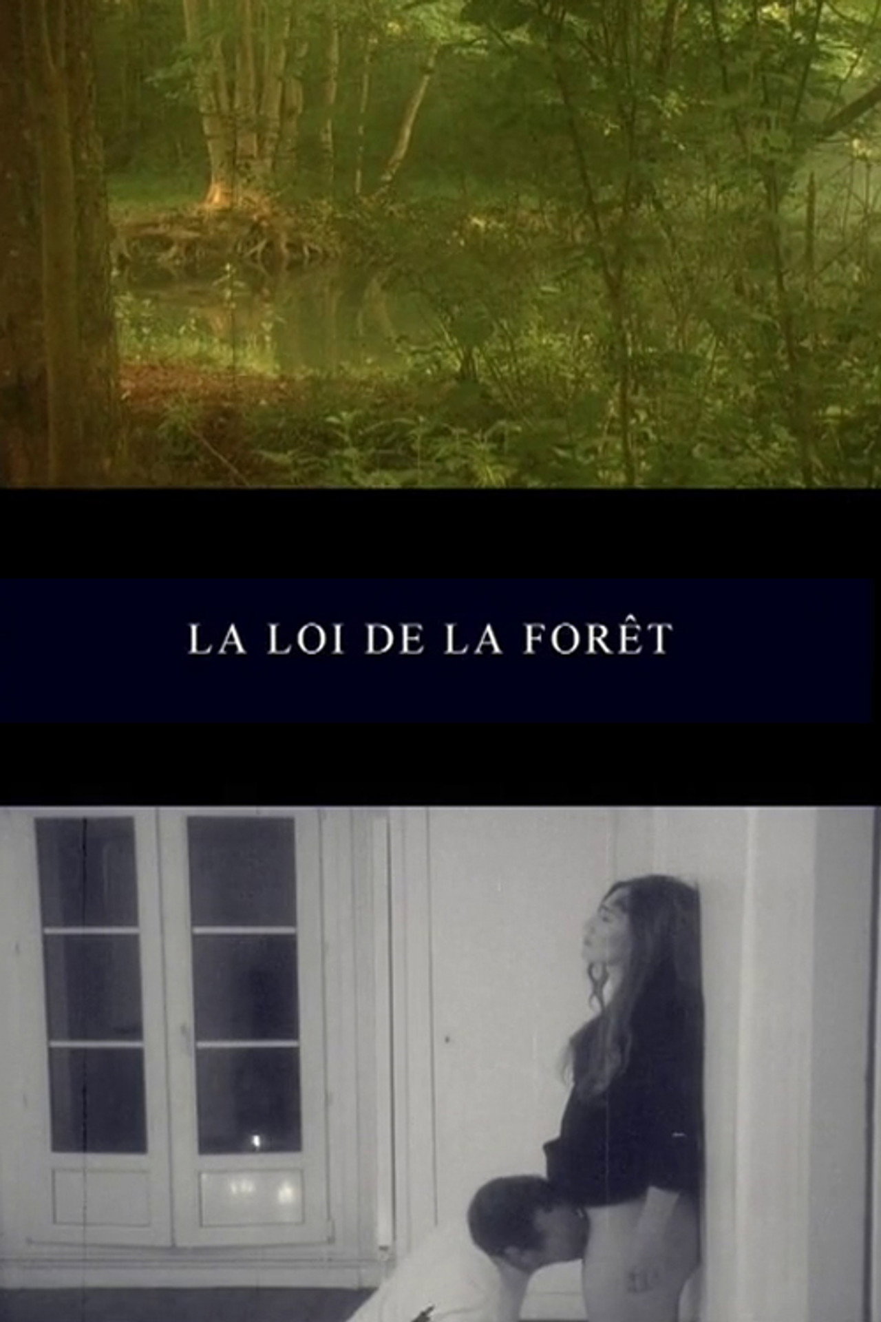 La loi de la forêt filmaffisch