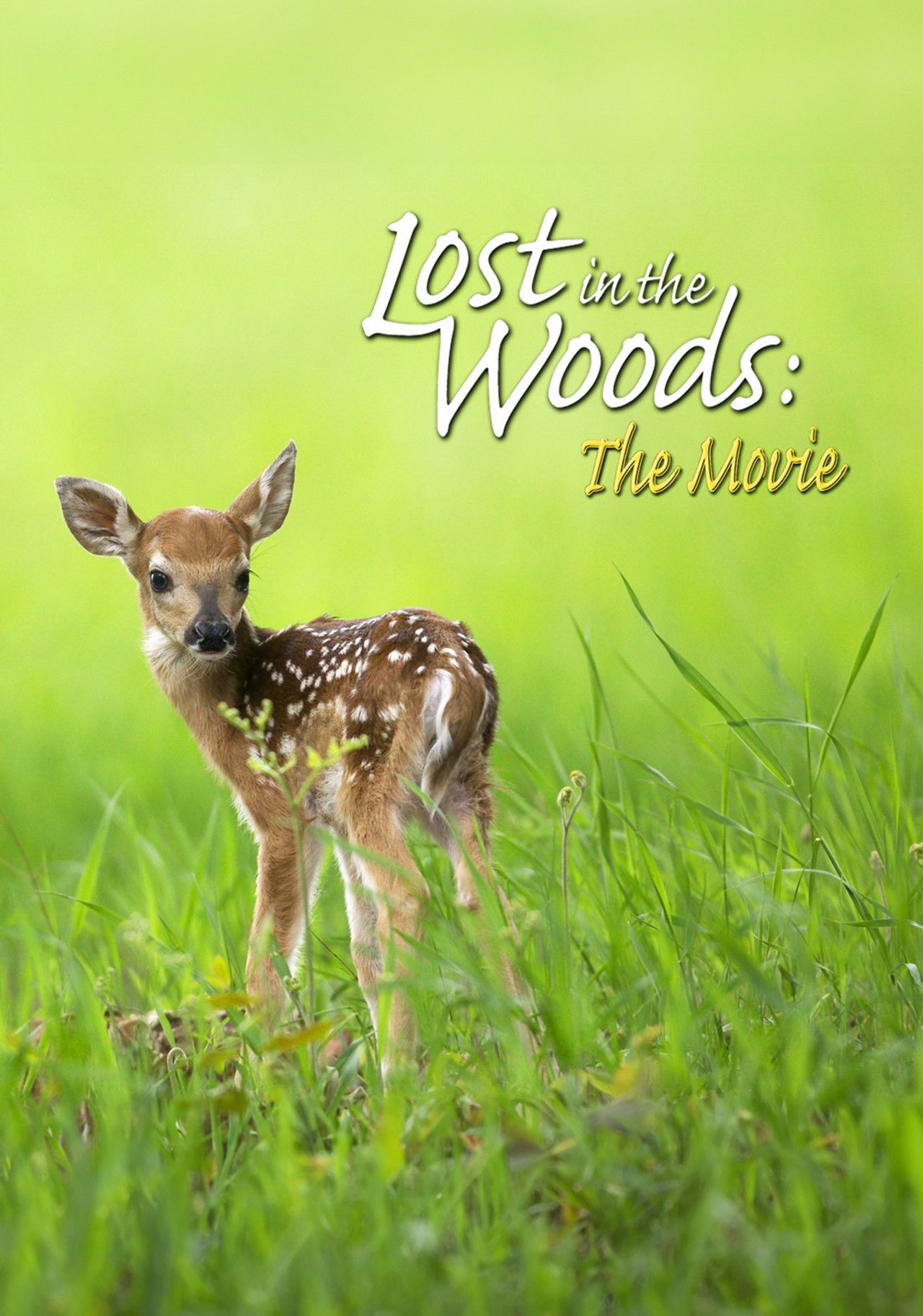 Lost in the Woods: The Movie 2006