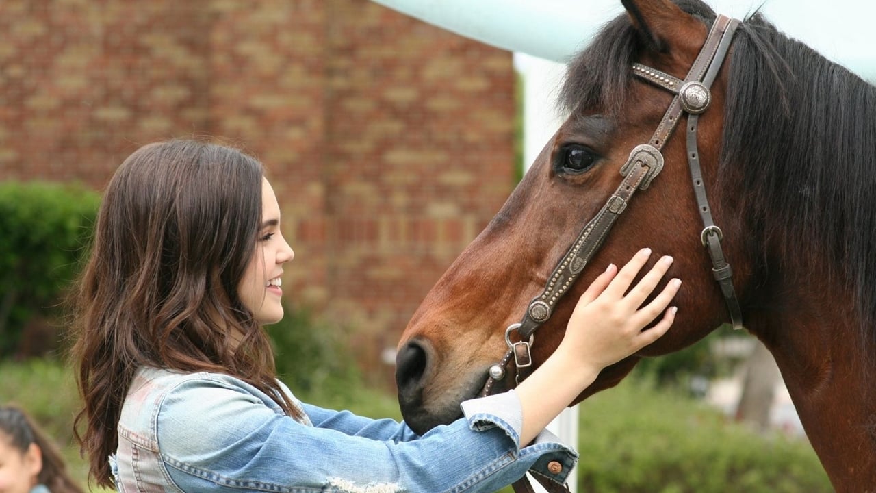 A Cowgirl's Story Backdrop Image