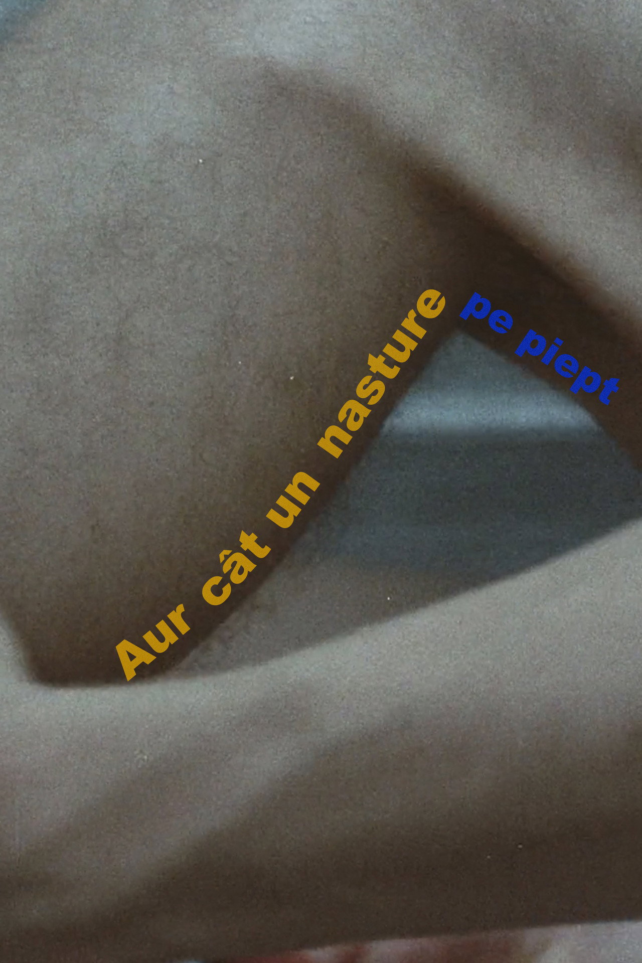 Aur cât un nasture pe piept filmaffisch