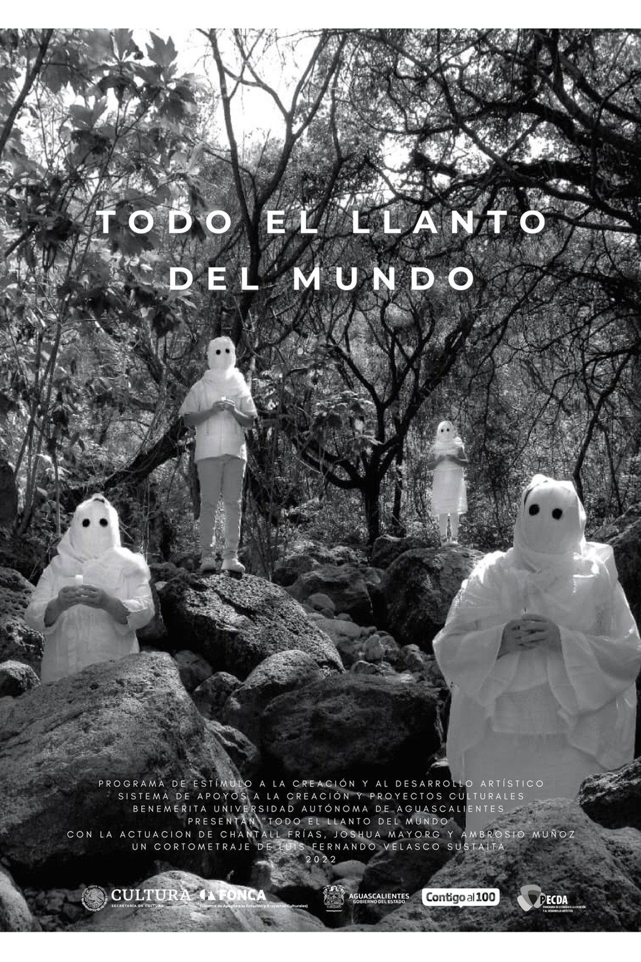 Todo el llanto del mundo filmaffisch