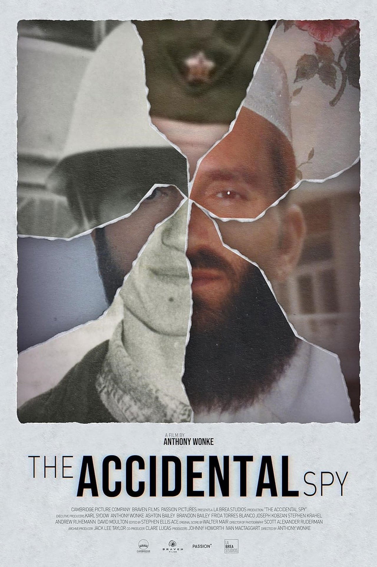 The Accidental Spy The Accidental Spy