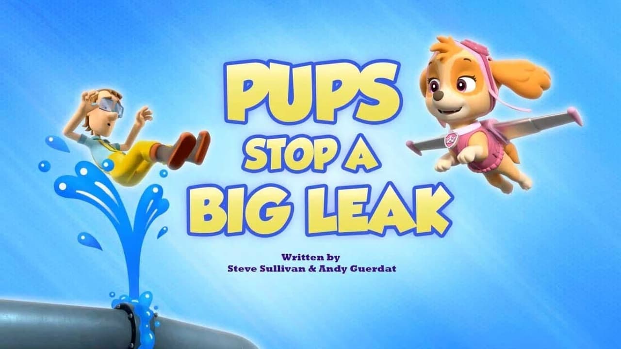 PAW Patrol - Season 0 Episode 20 : Pups Stop a Big Leak