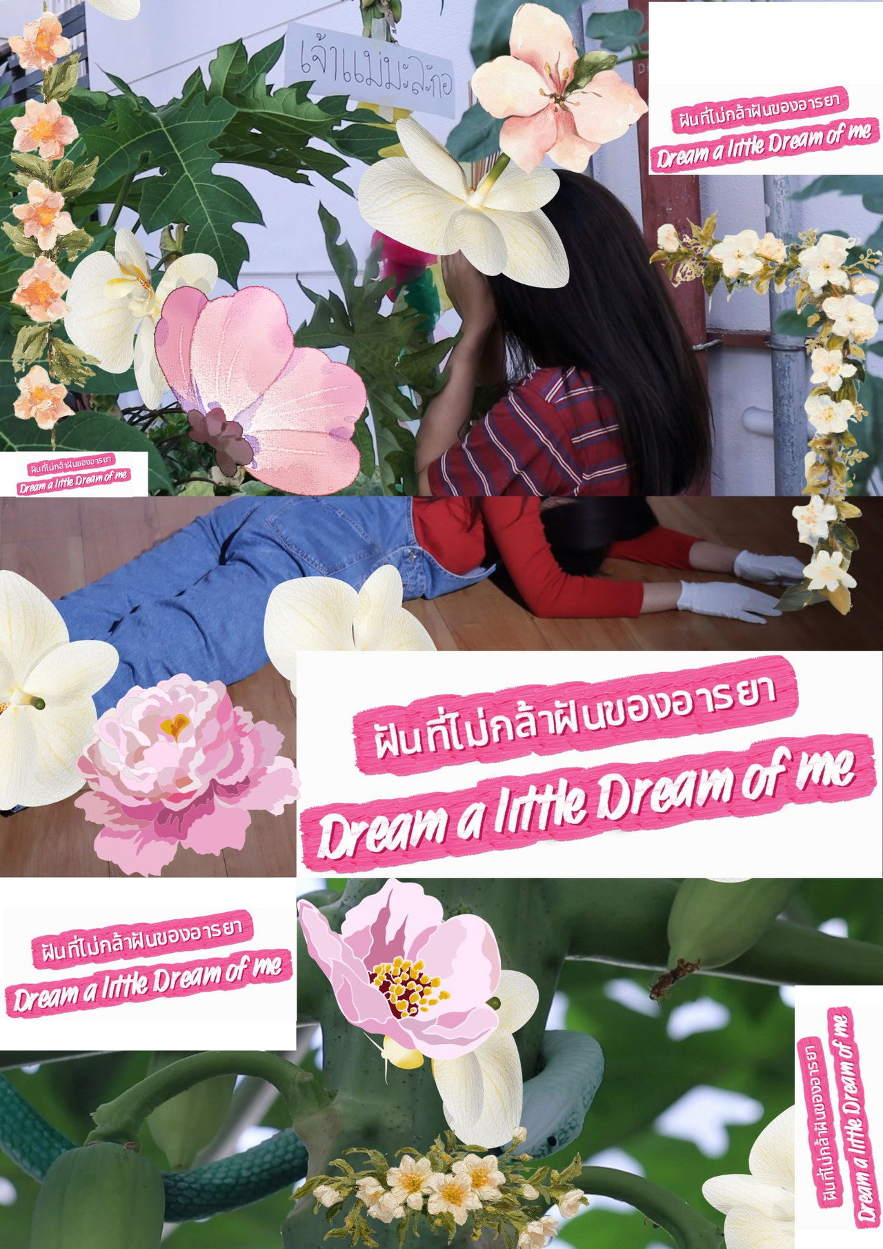 Dream a little Dream of me