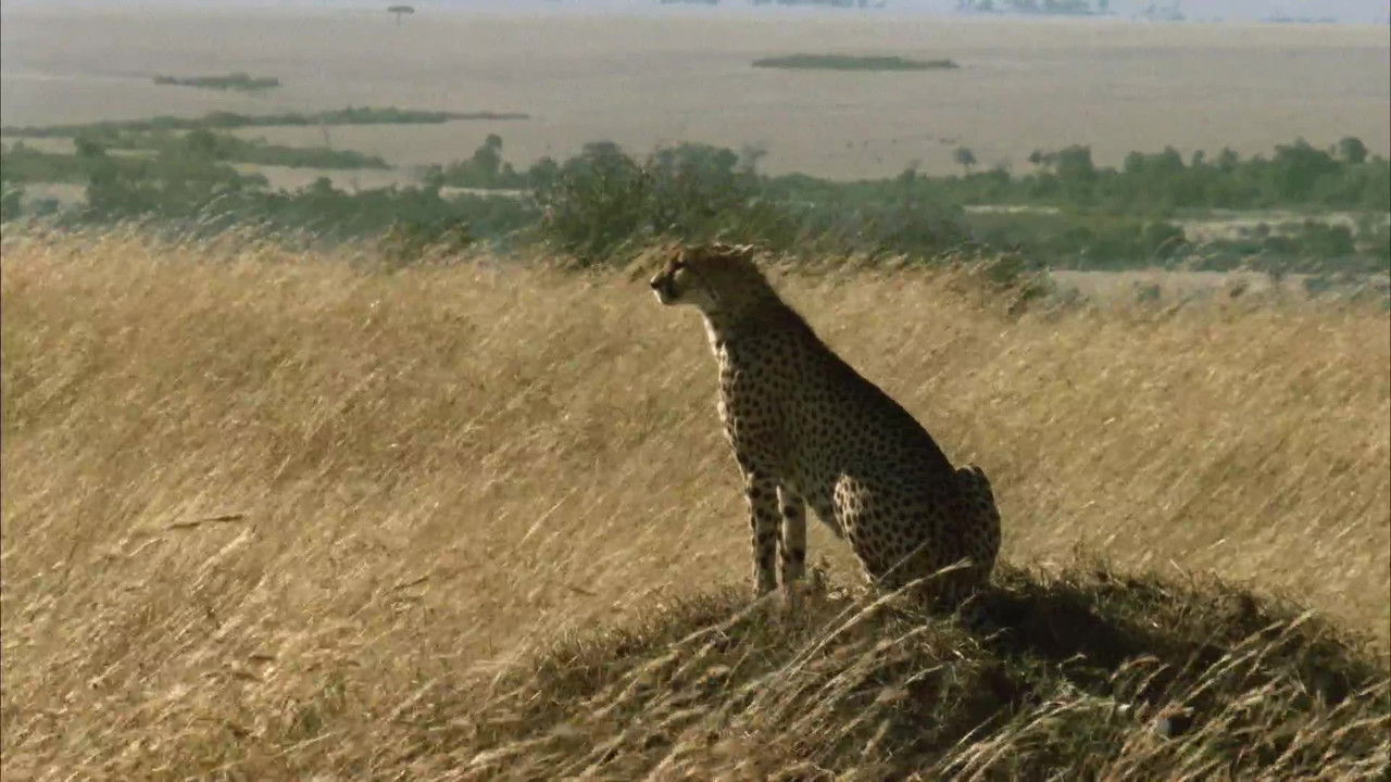 Wild Ones — Épisode 2