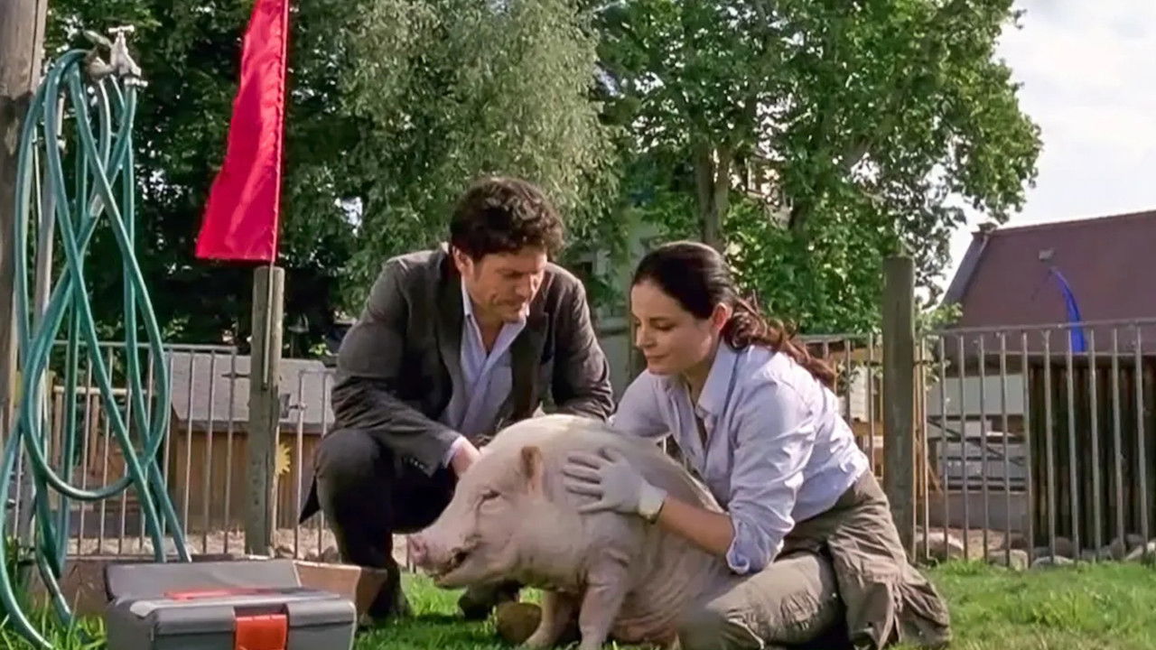 Tierärztin Dr. Mertens — Épisode 10