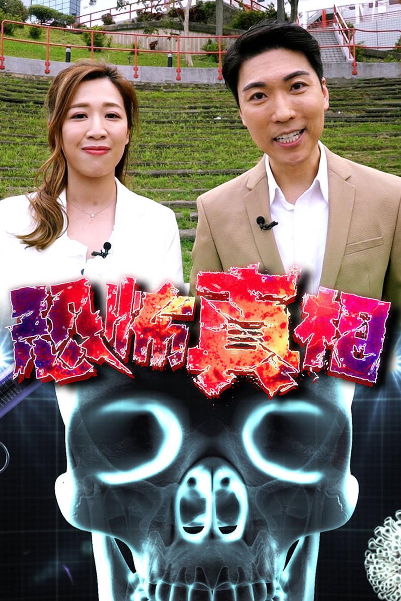 恐怖真相 affisch