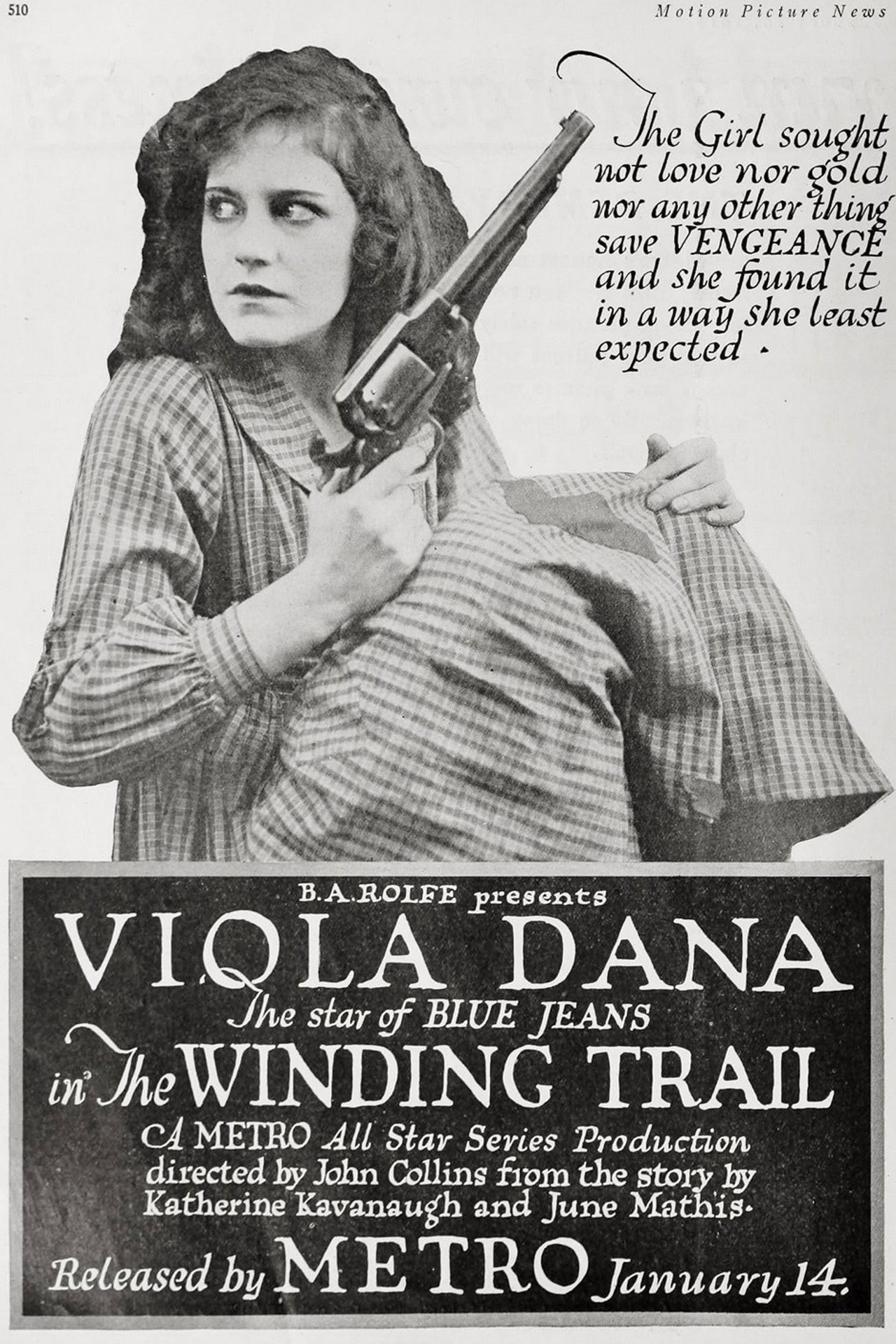 The Winding Trail