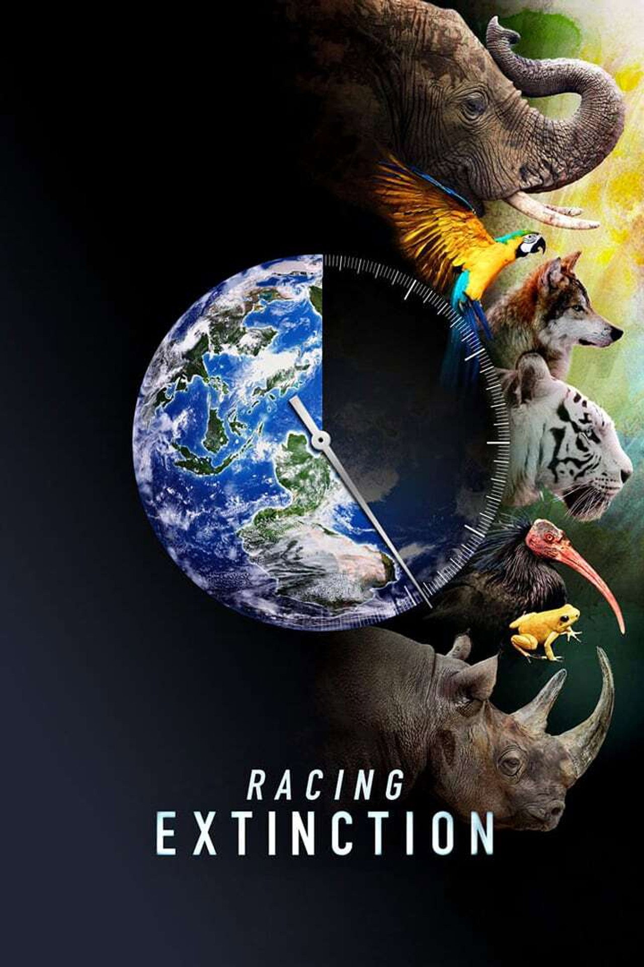 Racing Extinction - A kihalás kora – plakát 4