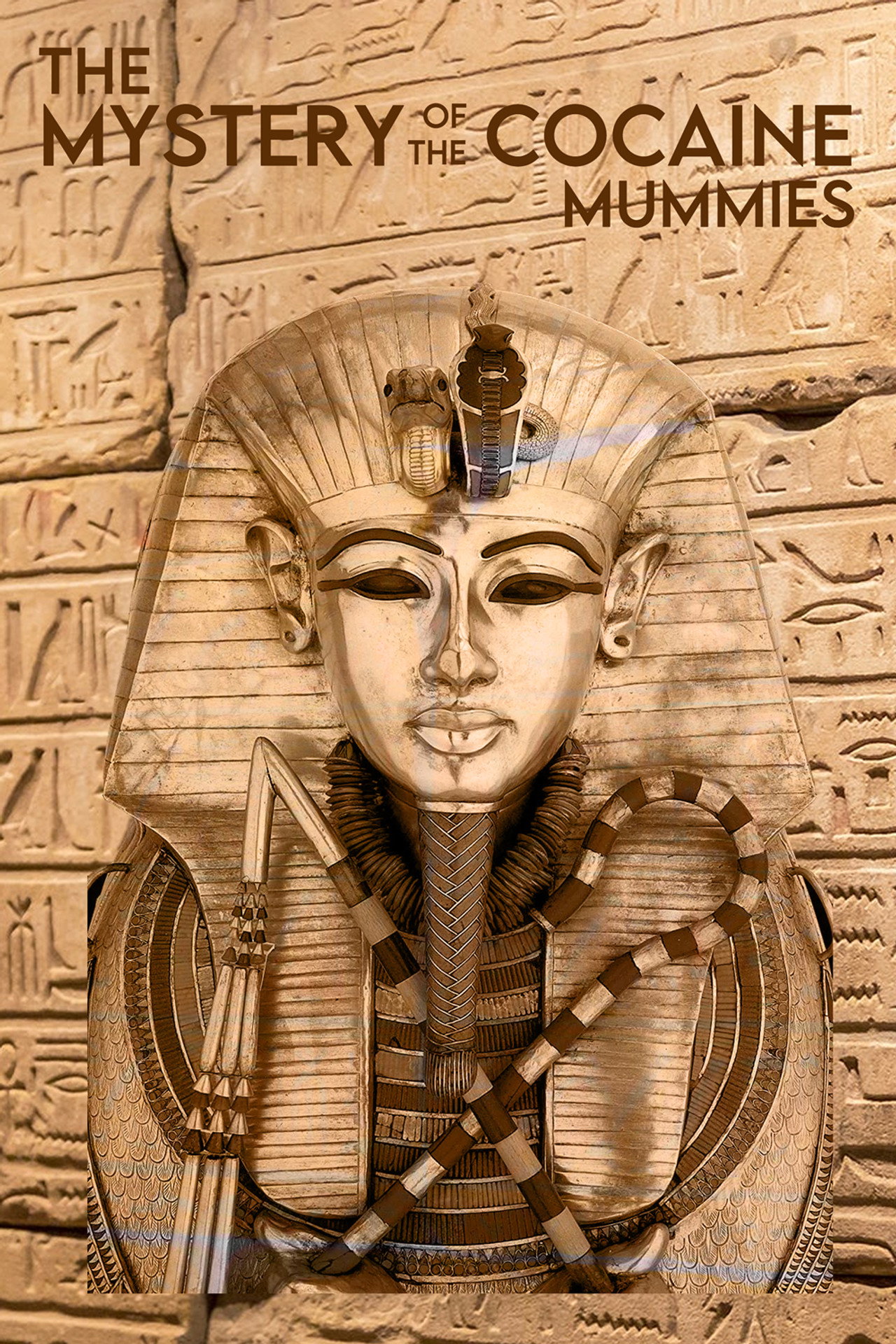 Mystery of the Cocaine Mummies poster
