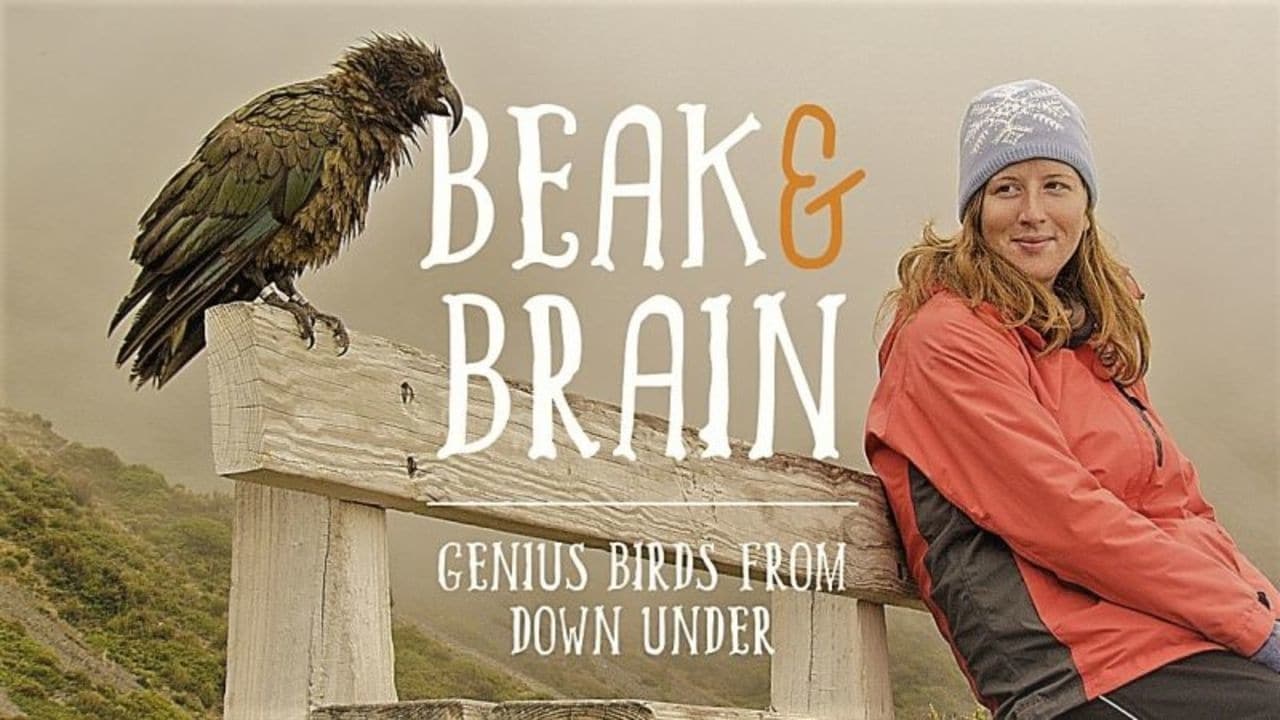 Beak & Brain - Genius Birds from Down Under background