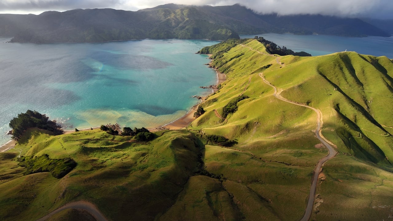 Aerial New Zealand background