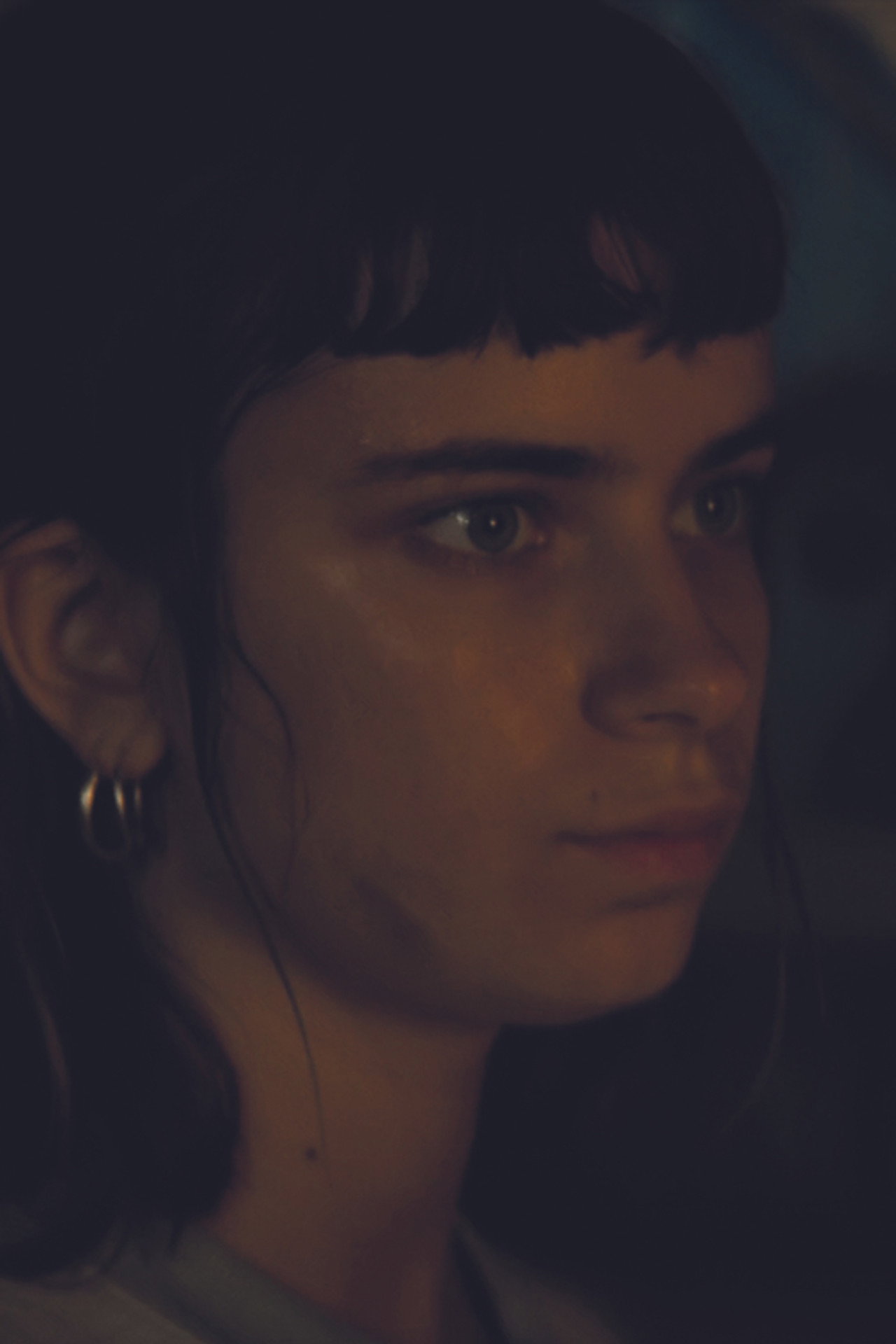 Domestic Fowls Backdrop