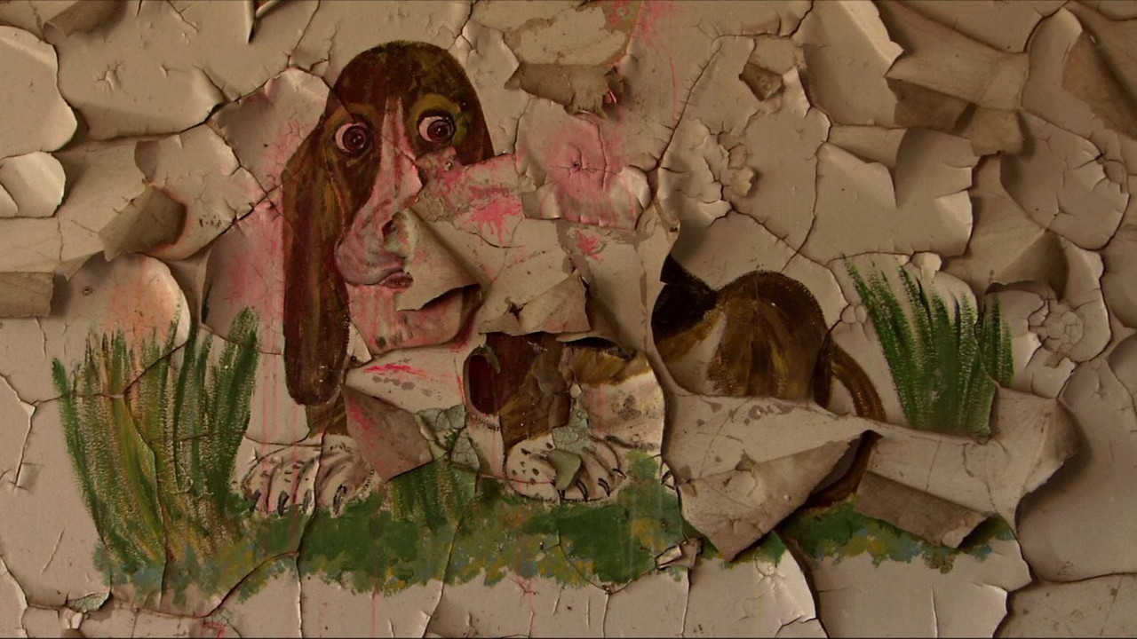 scenes 29