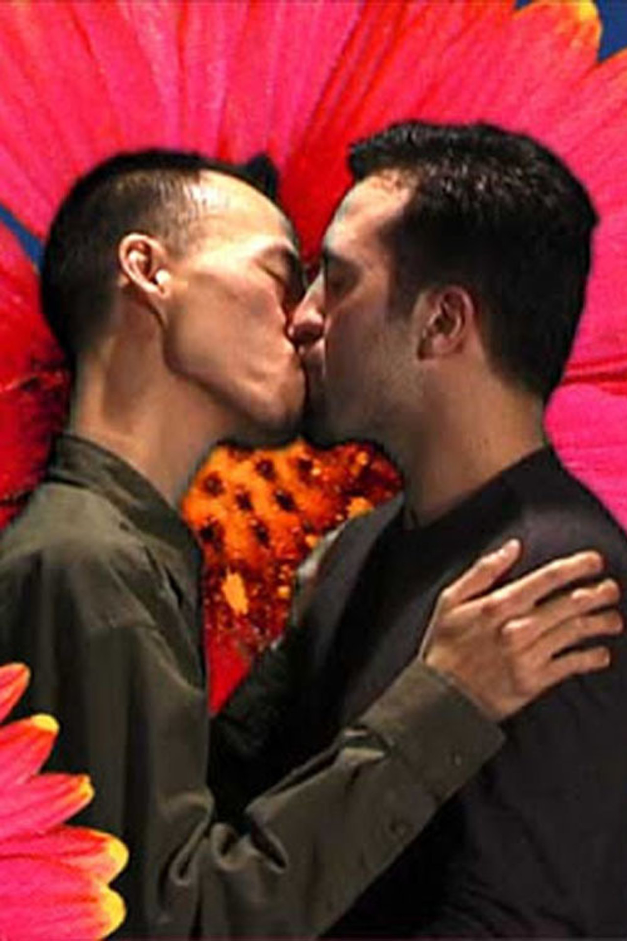 Field Guide to Western Wildflowers Backdrop