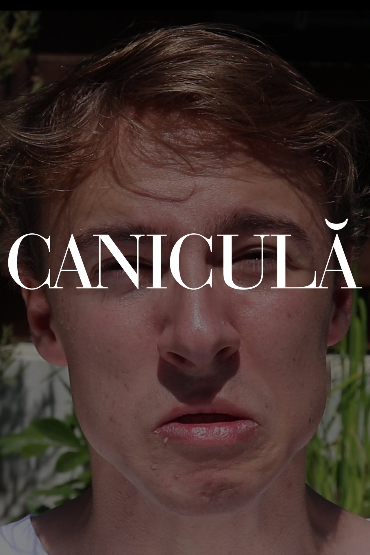 CANICULĂ Backdrop