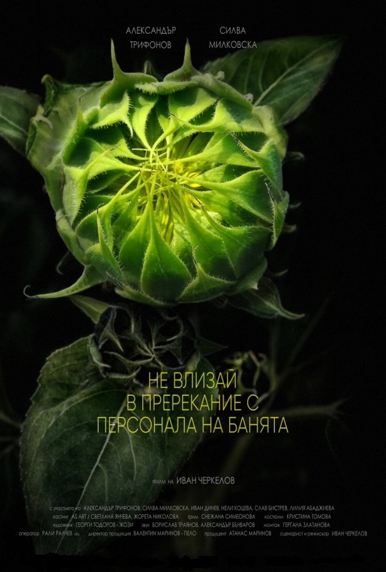 Do Not Argue with the Staff at the Baths Backdrop