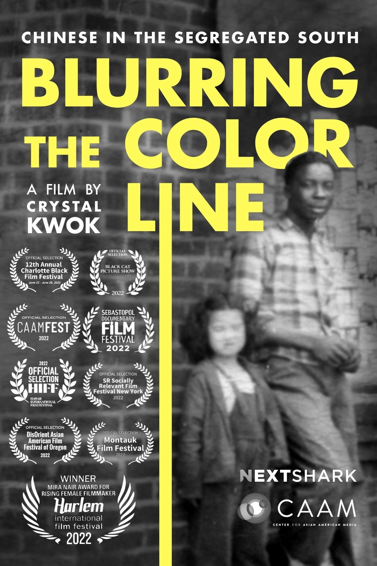 Blurring the Color Line: Chinese in the Segregated South filmaffisch