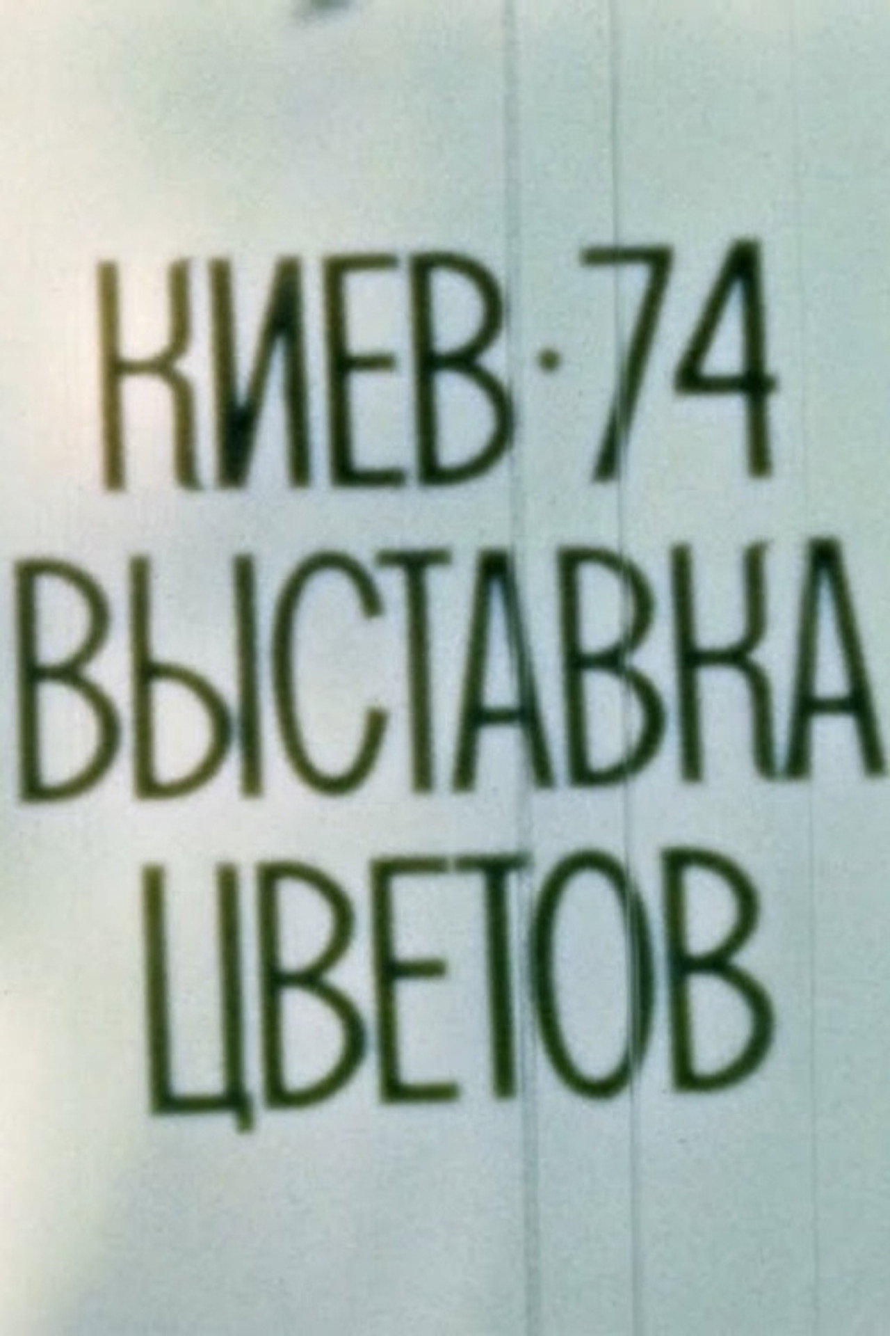 Київ, 1974. Виставка квітів. filmaffisch