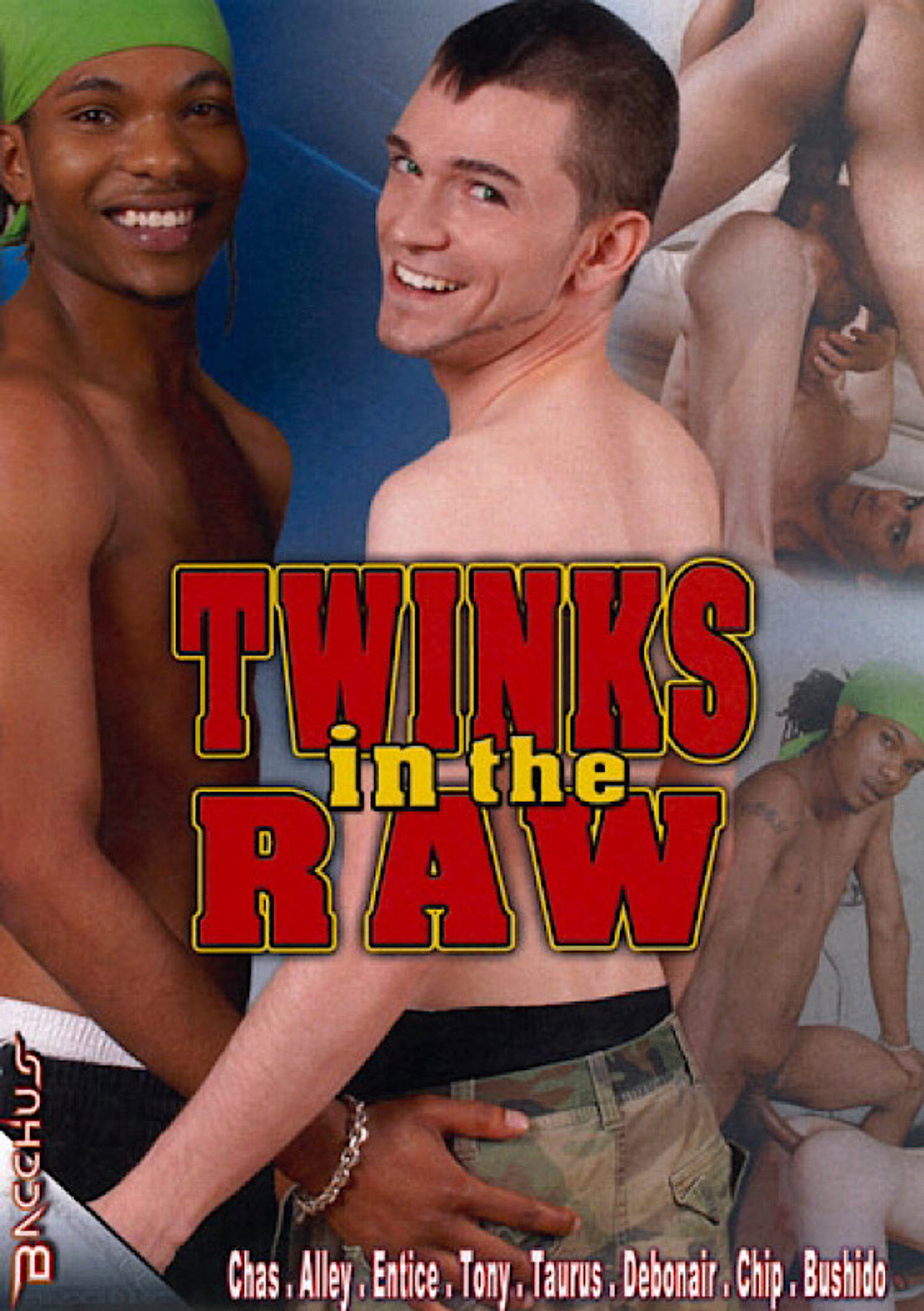 Twinks in the Raw filmaffisch