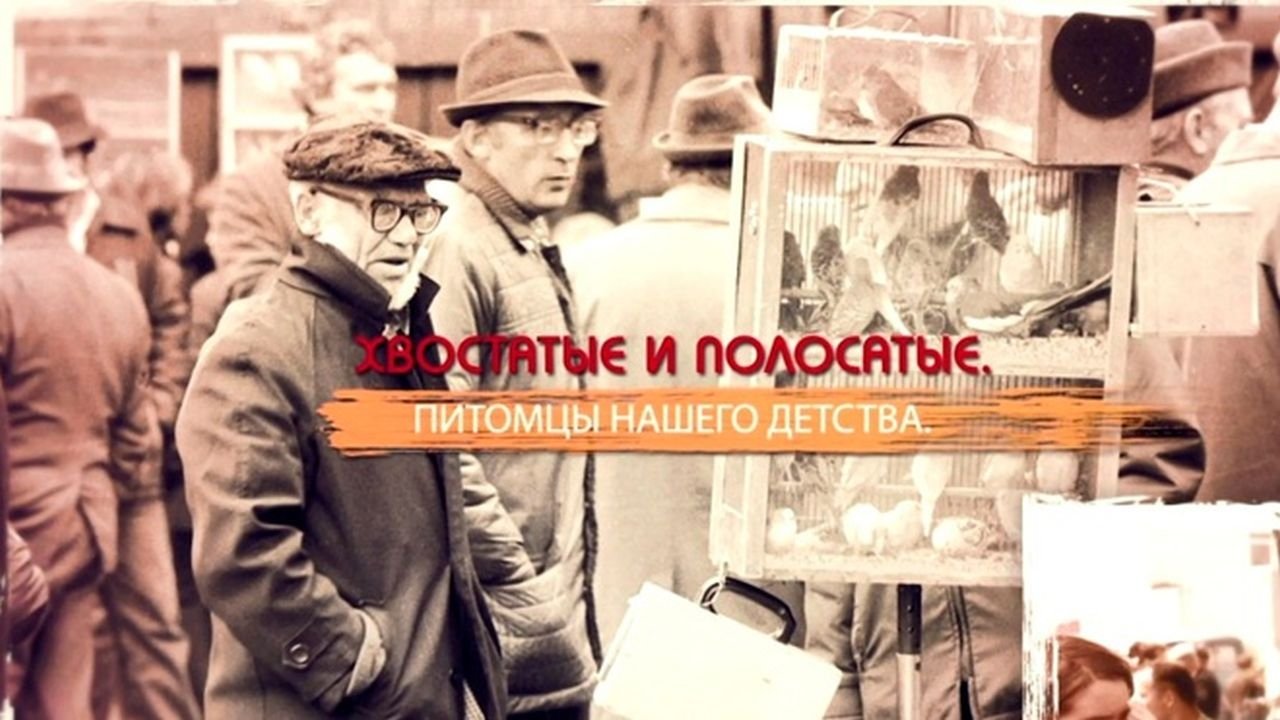 СССР. Знак качества с Иваном Охлобыстиным - Season 1 Episode 9 : Episode 9
