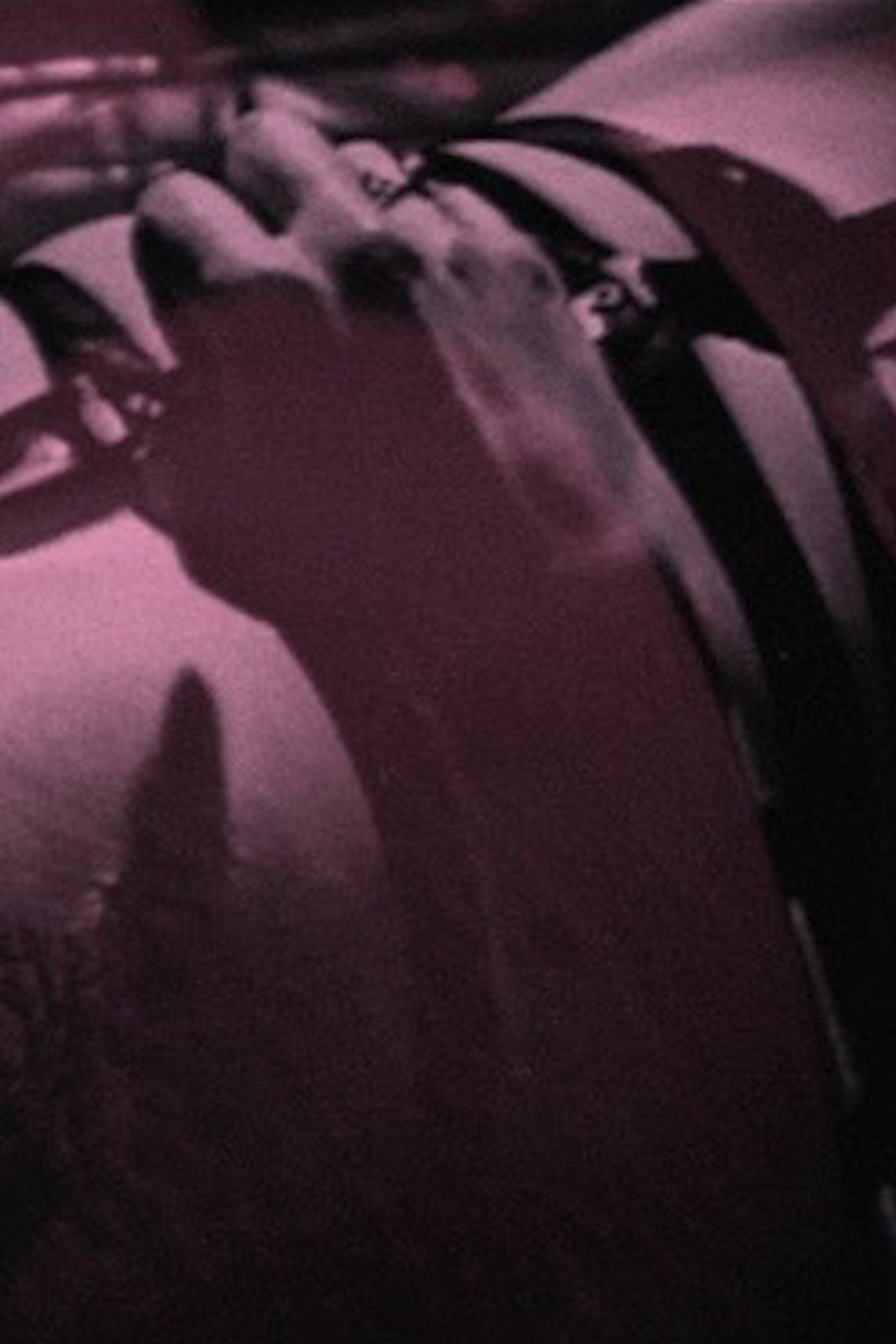 Pussy Got the Cream Backdrop