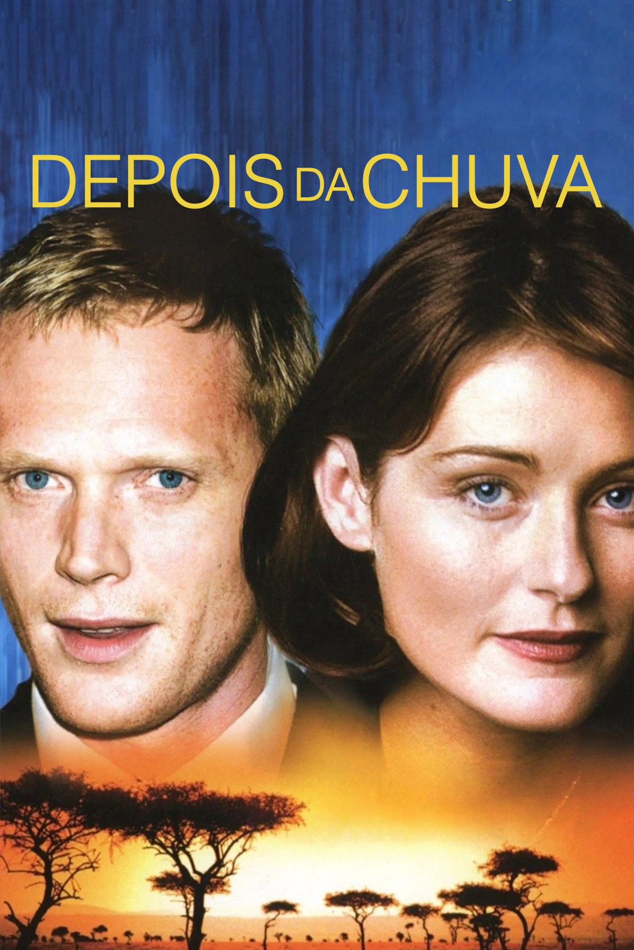 Pôster de Depois da Chuva
