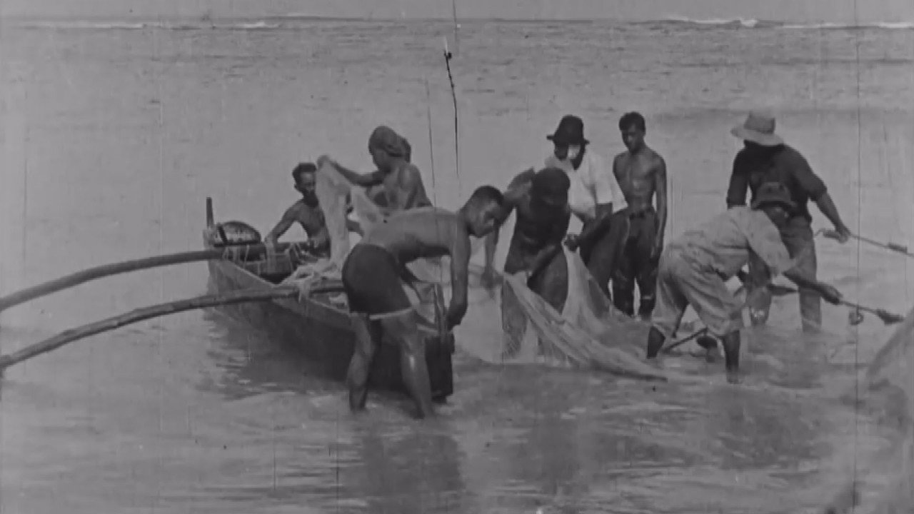 The Hawaiian Islands