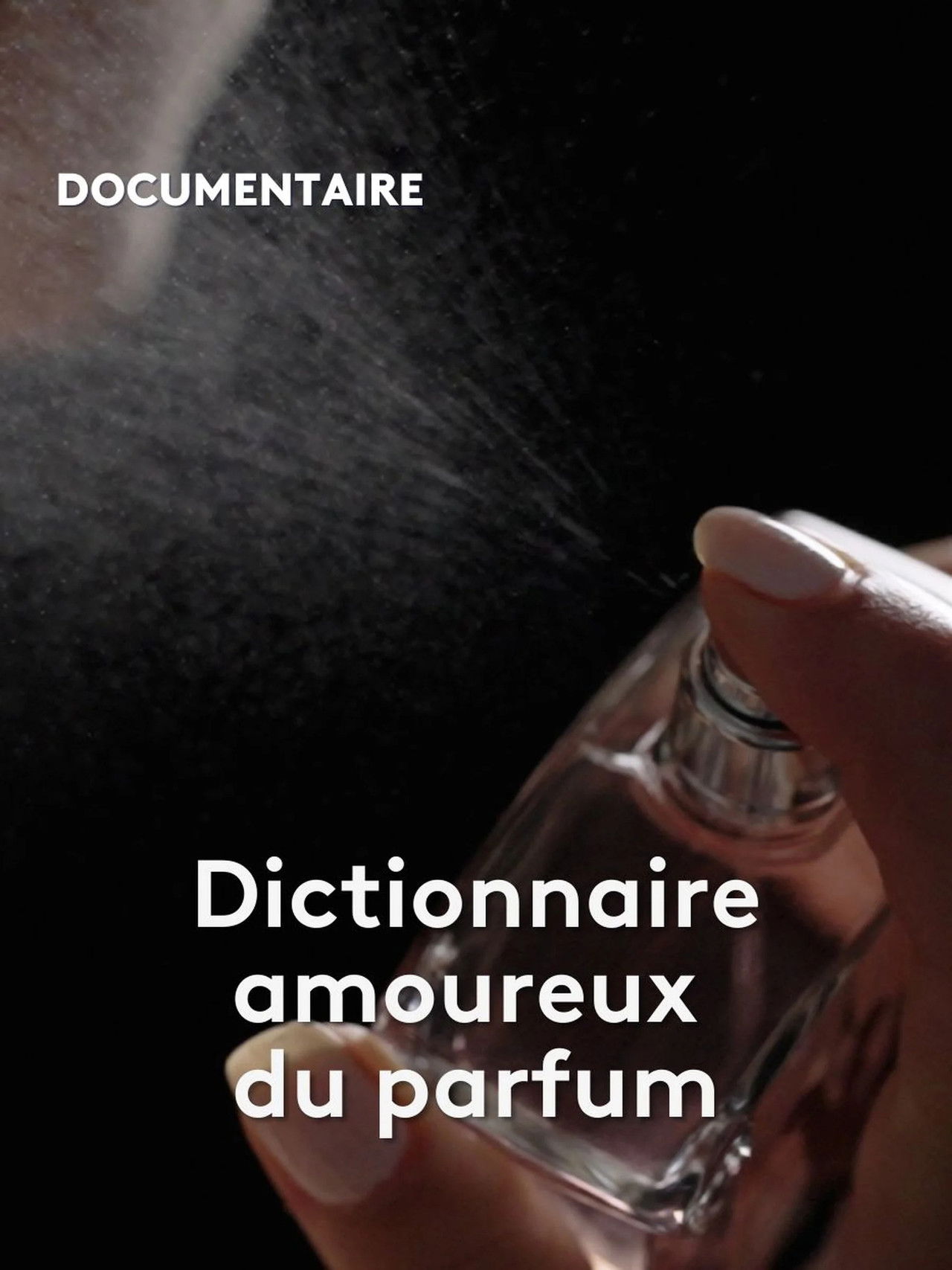 Dictionnaire amoureux du parfum poster