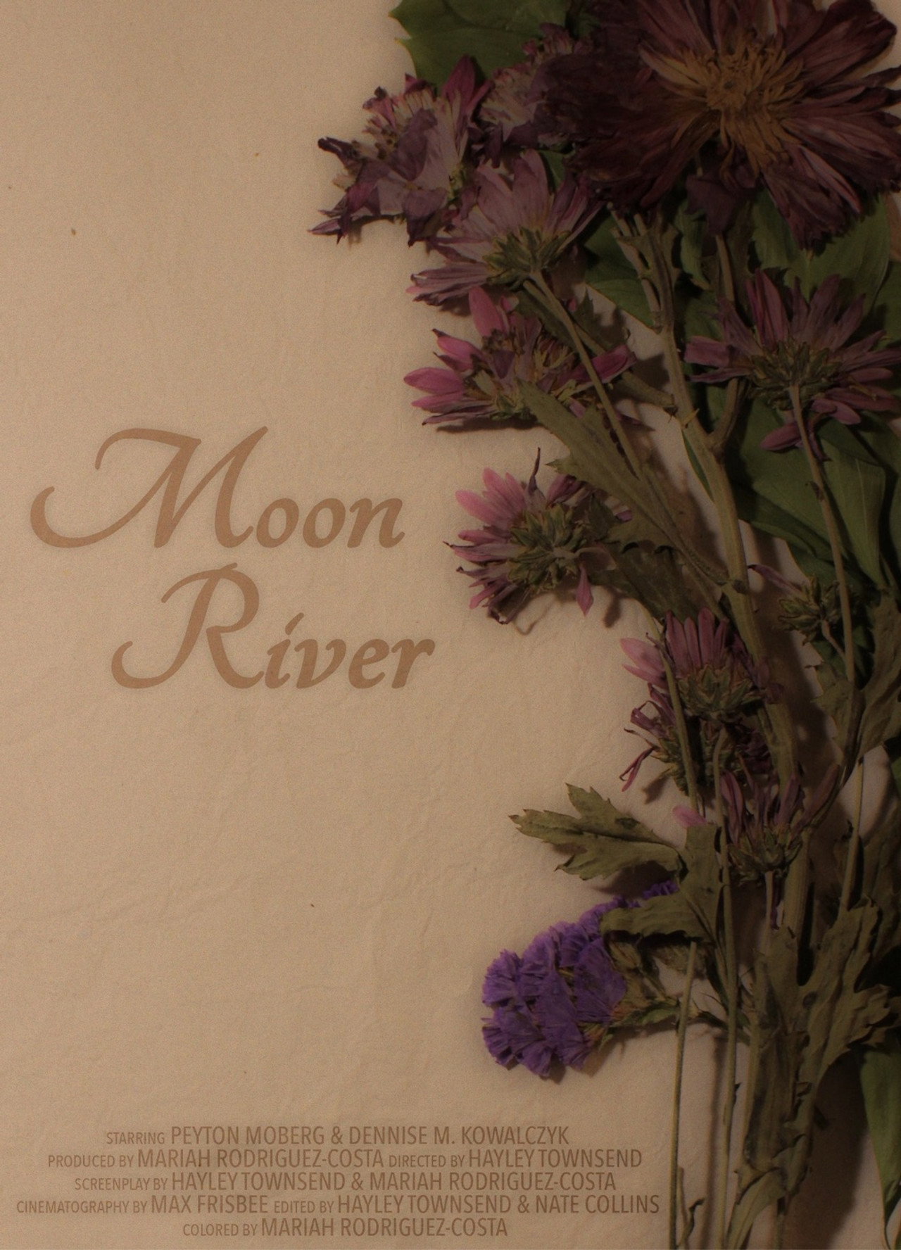 Moon River Backdrop