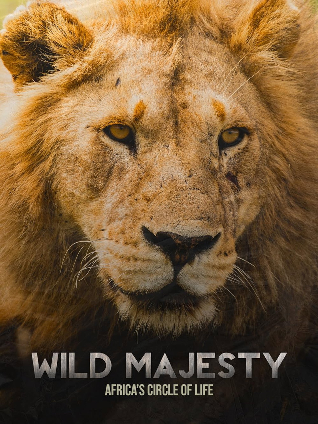 Wild Majesty: Africa's Circle of Life Backdrop