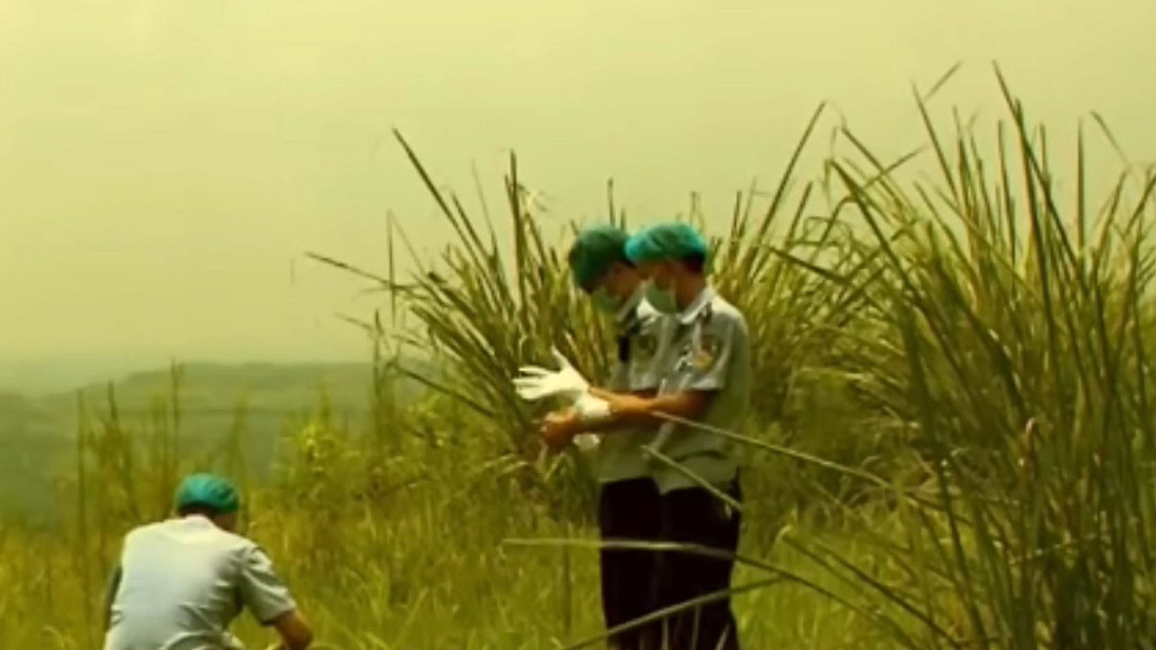 传奇故事 — Épisode 24