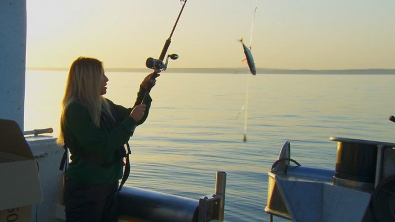 The Apprentice - Season 16 Episode 4 : Fishing