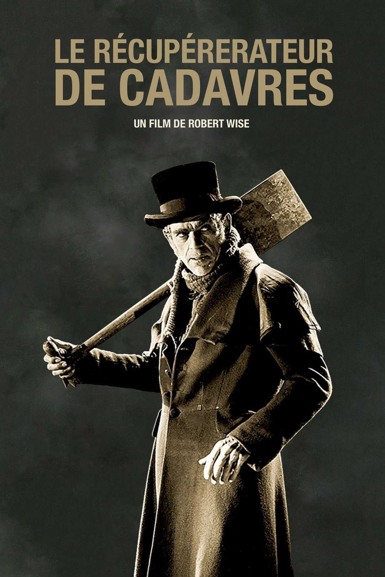Le Récupérateur de cadavres poster