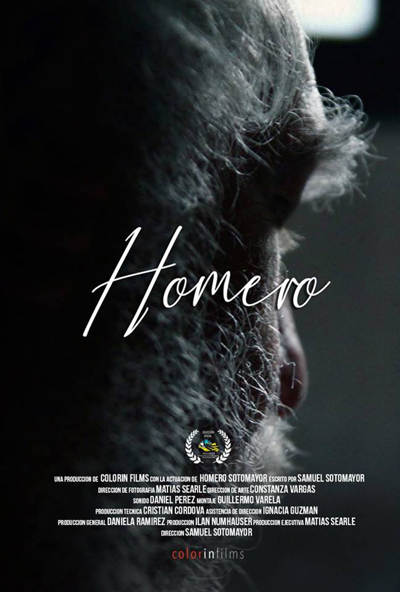 Homero filmaffisch