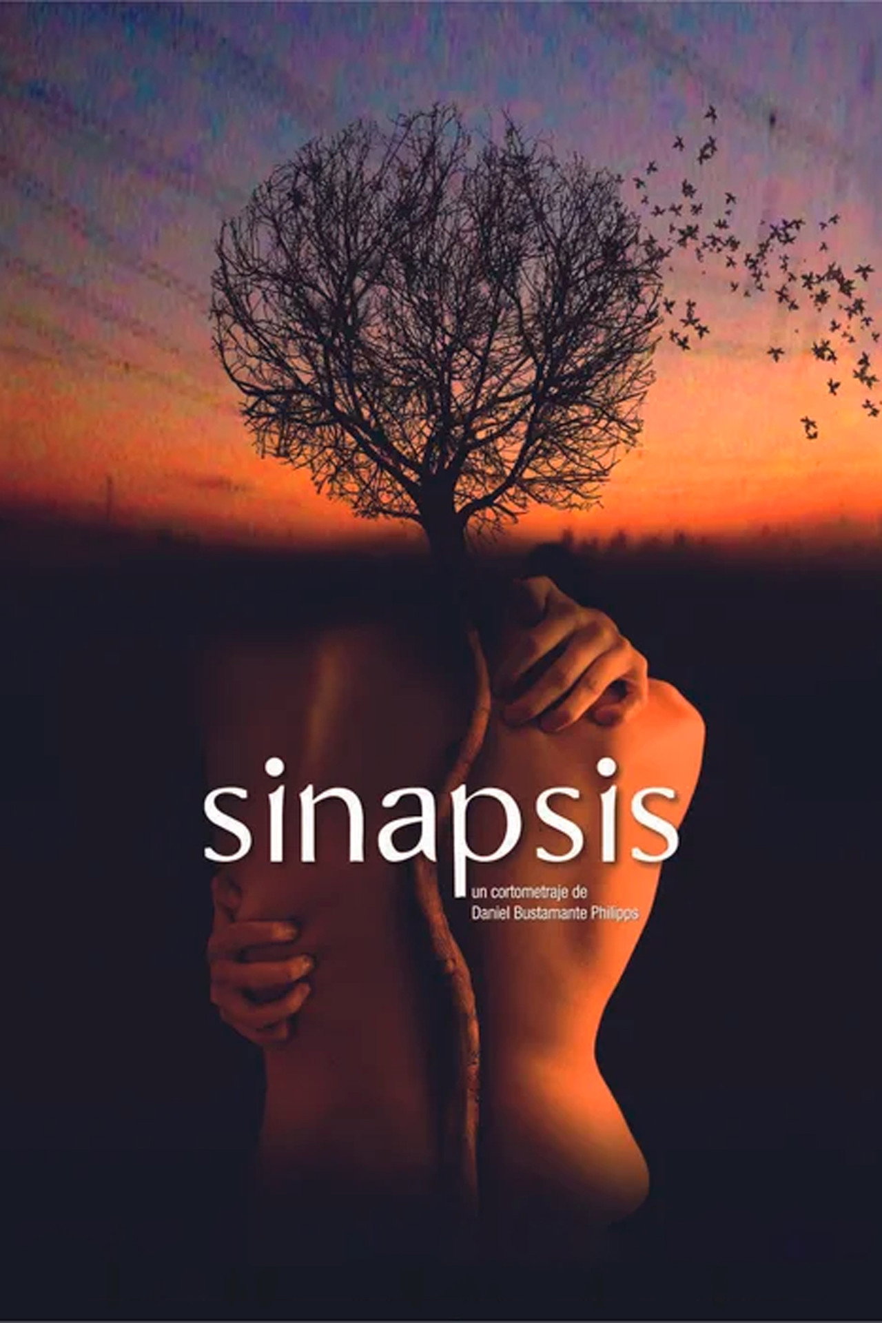 Sinapsis