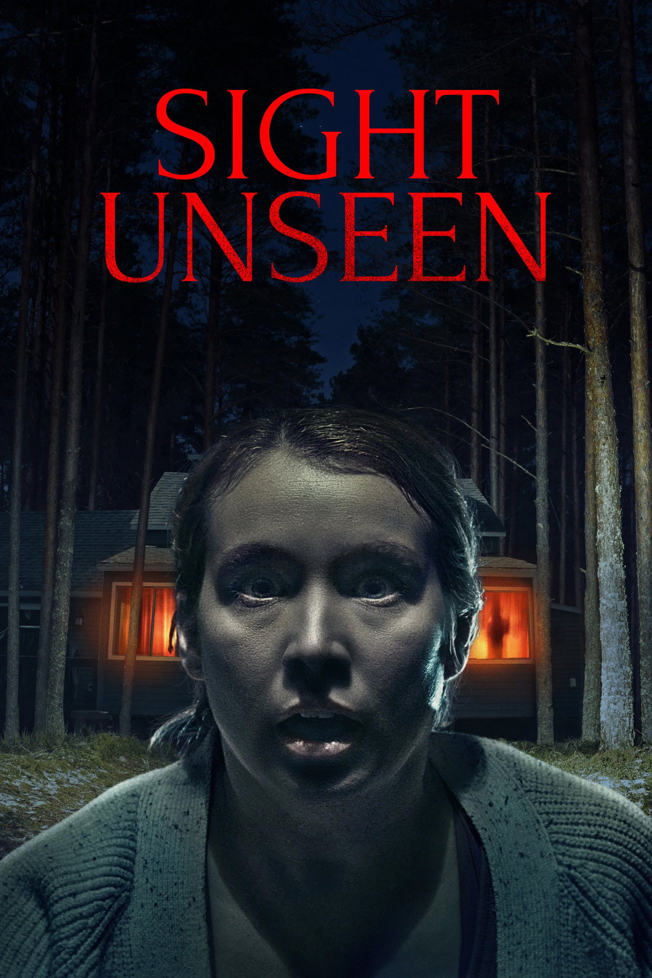 Sight Unseen filmaffisch