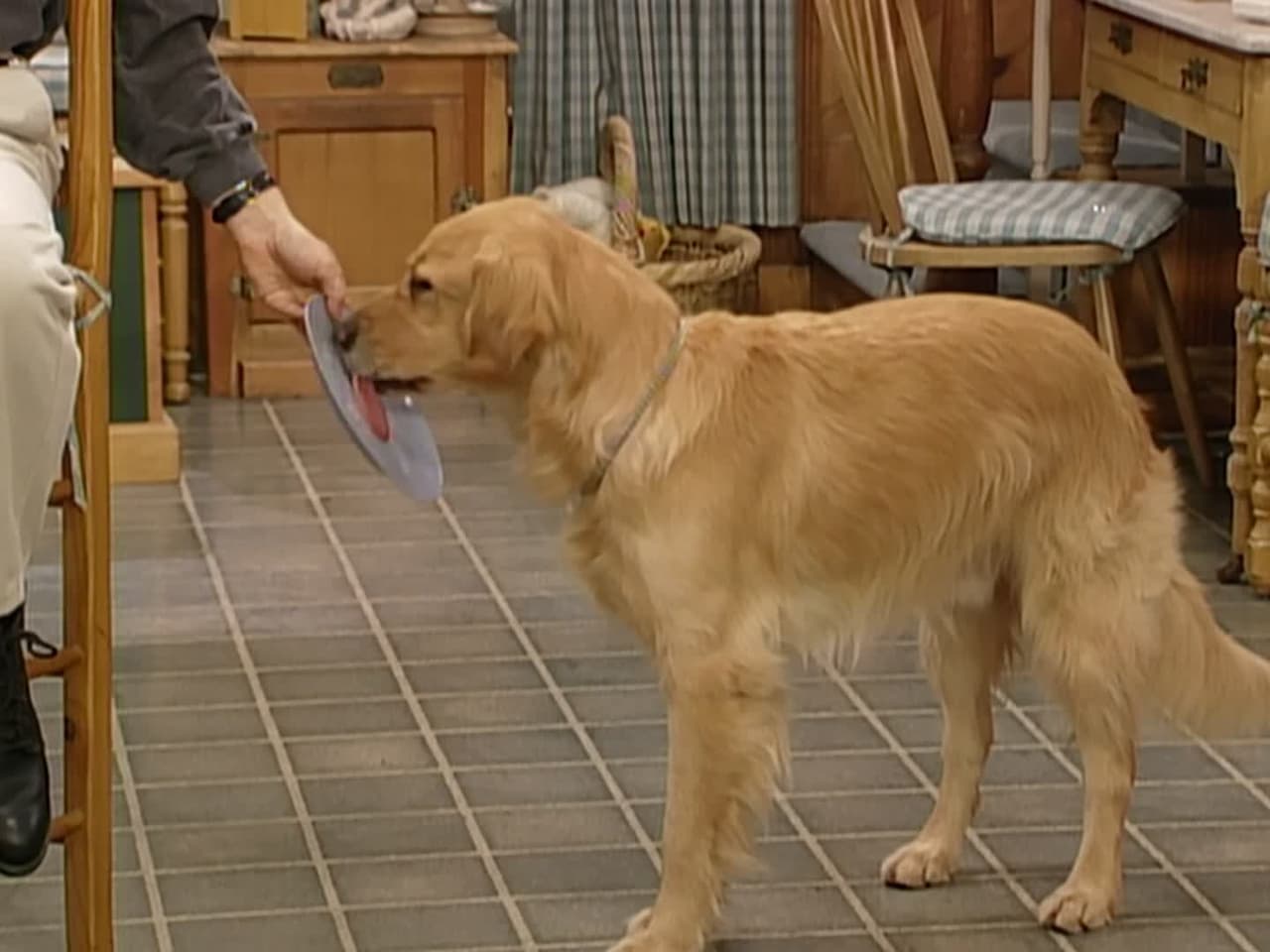 Full House - Season 6 Episode 18 : Please Don't Touch the Dinosaur