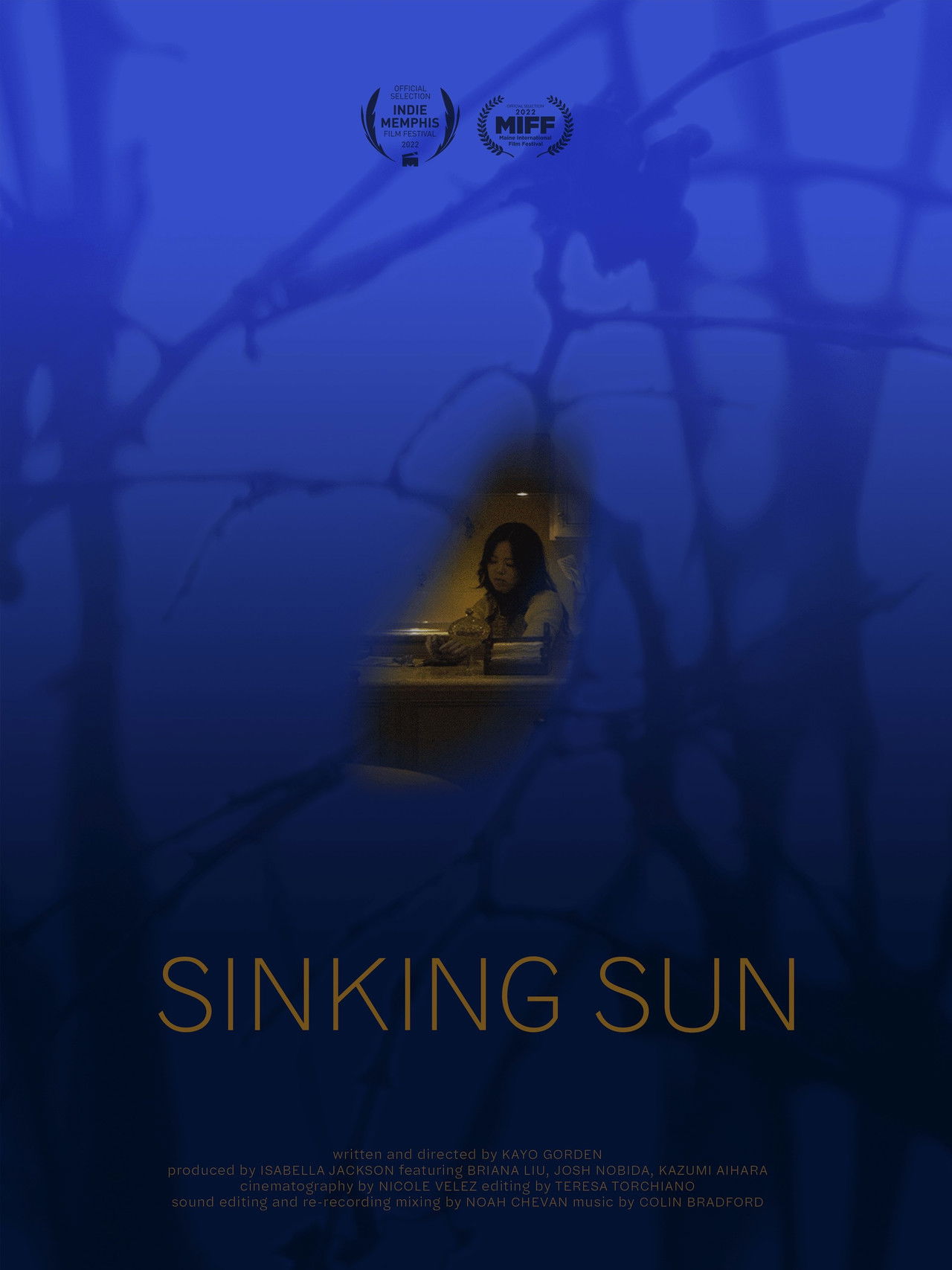 Sinking Sun Backdrop