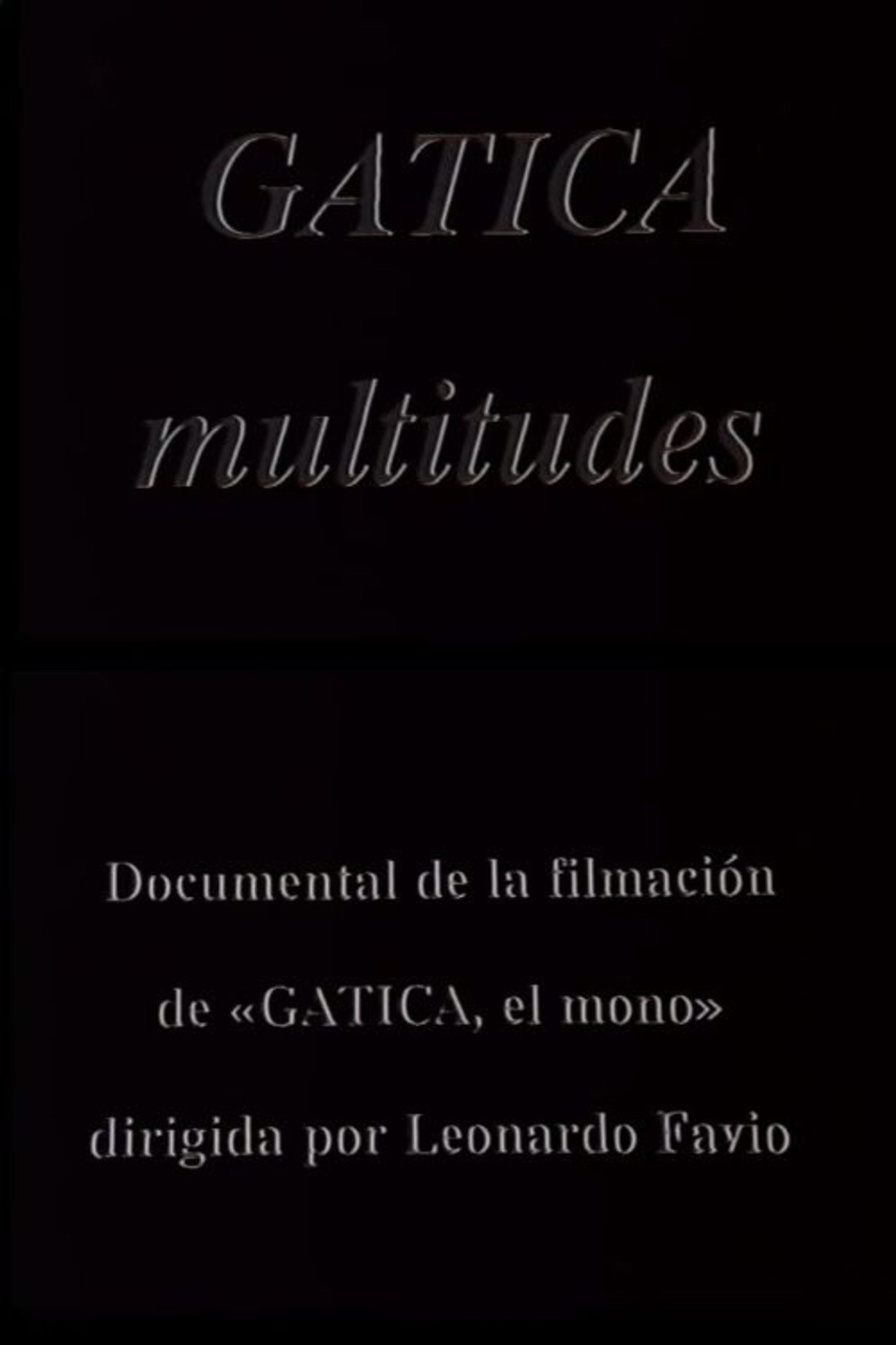 Gatica multitudes